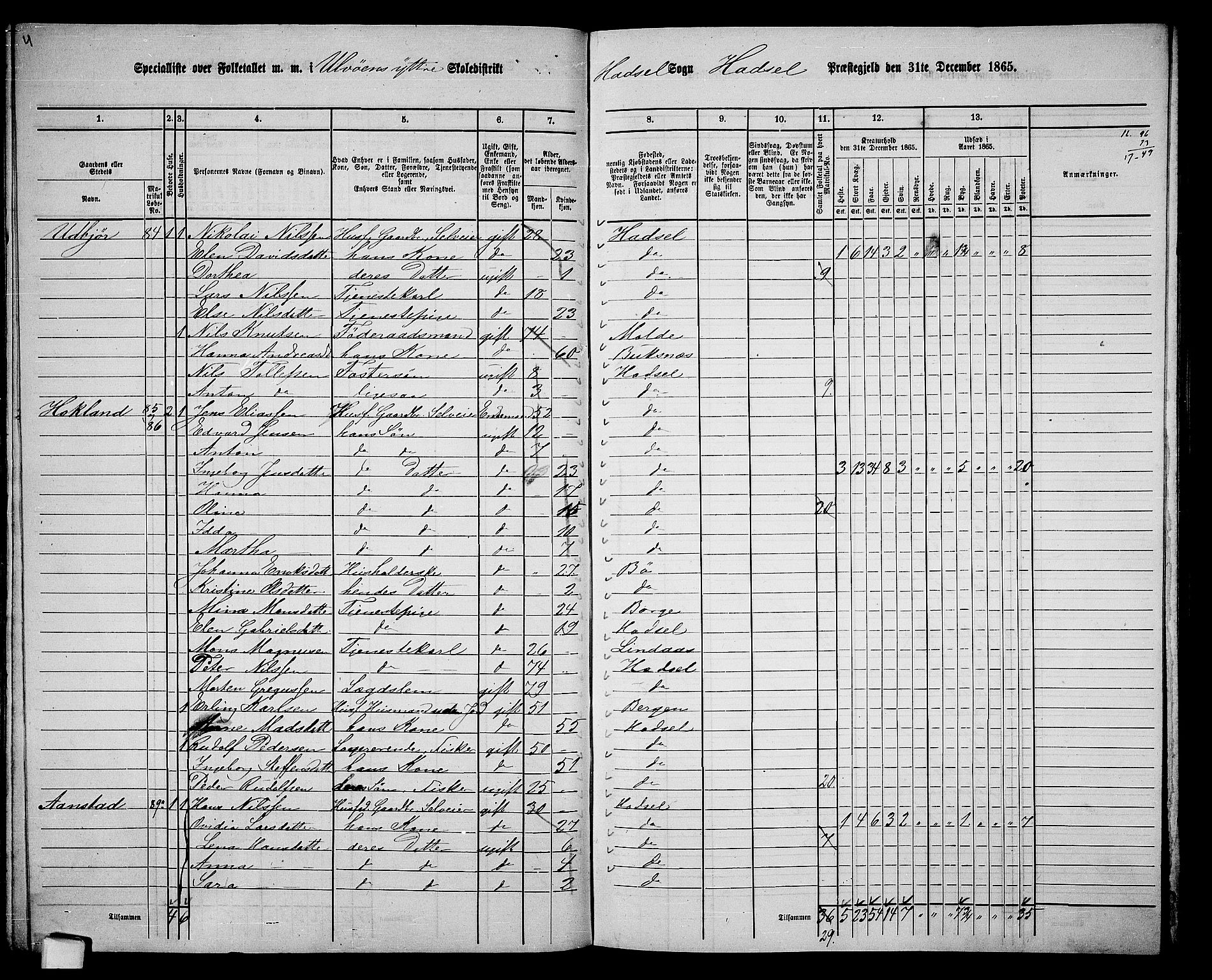 RA, 1865 census for Hadsel, 1865, p. 89