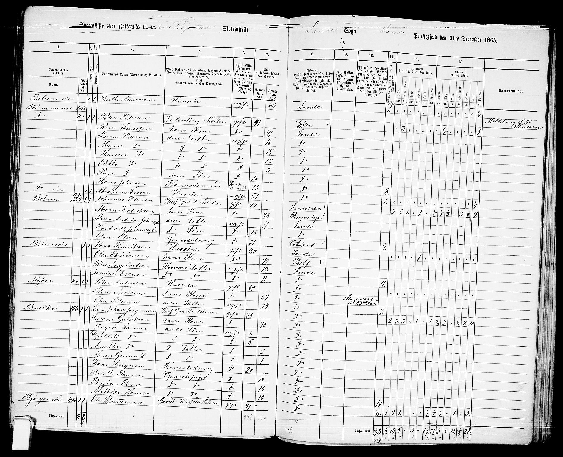 RA, 1865 census for Sande, 1865, p. 73