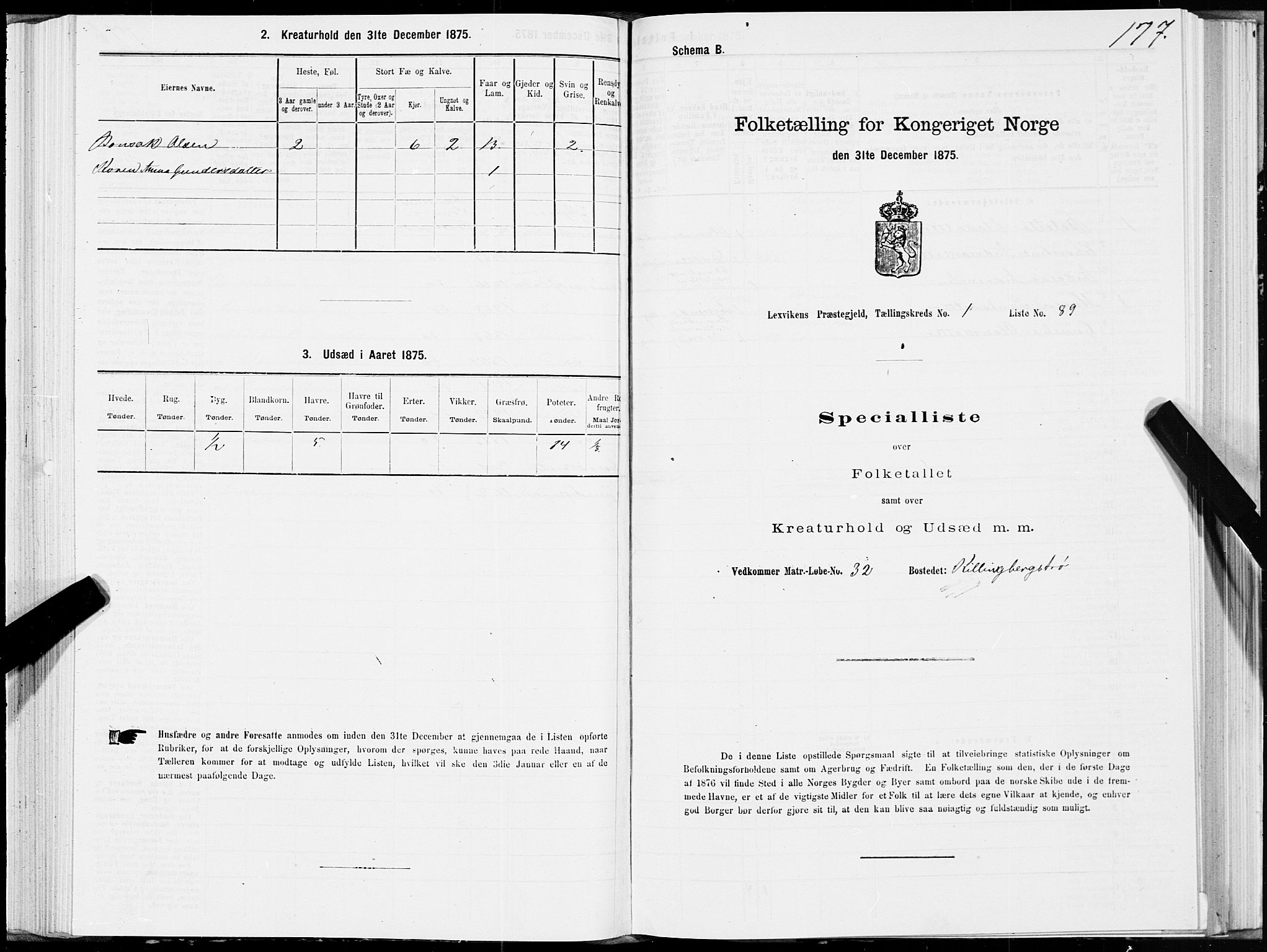 SAT, 1875 census for 1718P Leksvik, 1875, p. 1177