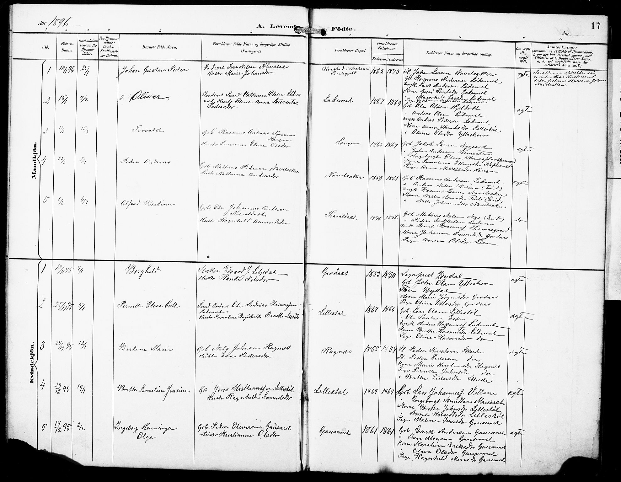 Hornindal sokneprestembete, SAB/A-82401/H/Hab: Parish register (copy) no. A 2, 1894-1927, p. 17