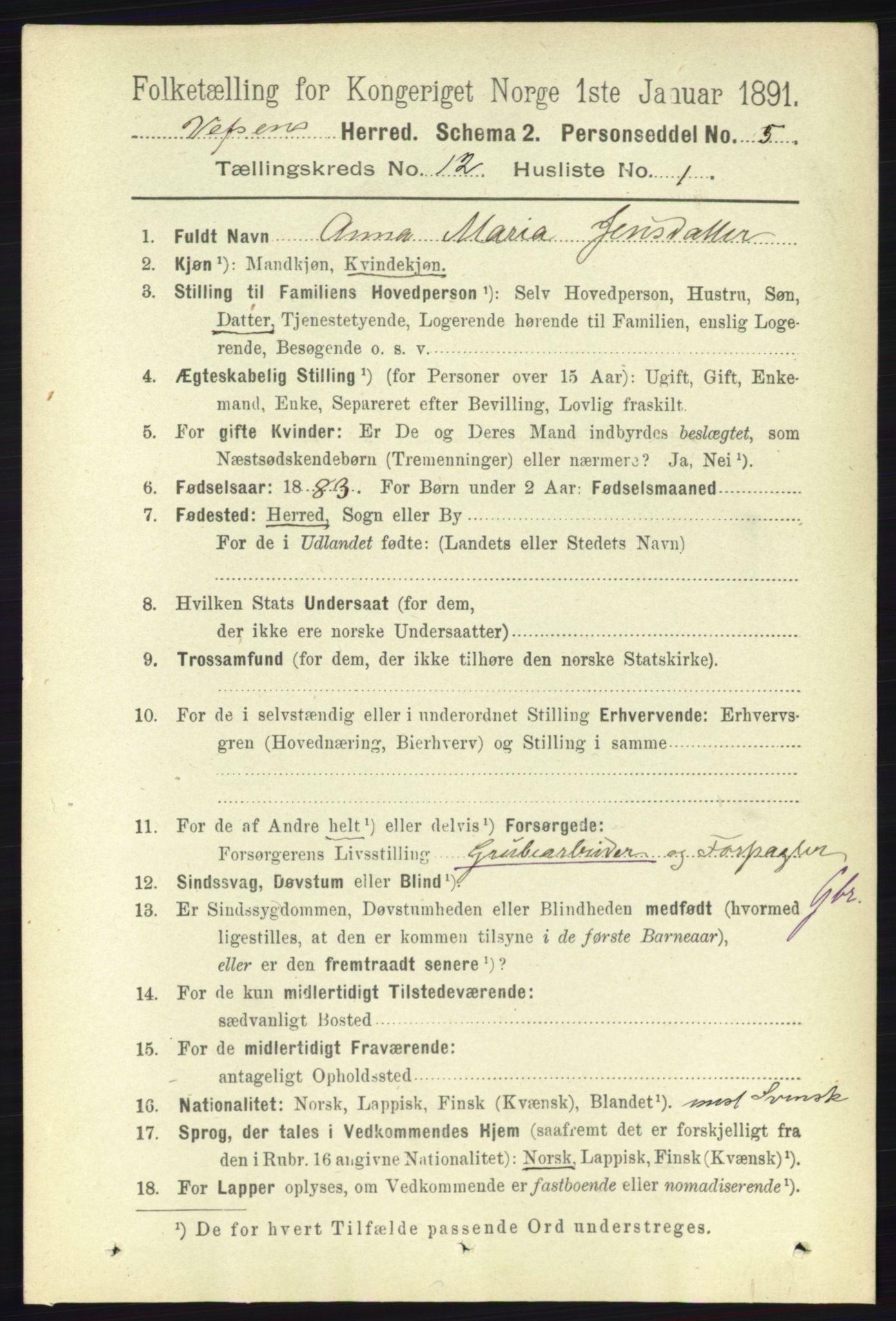 RA, 1891 census for 1824 Vefsn, 1891, p. 6078