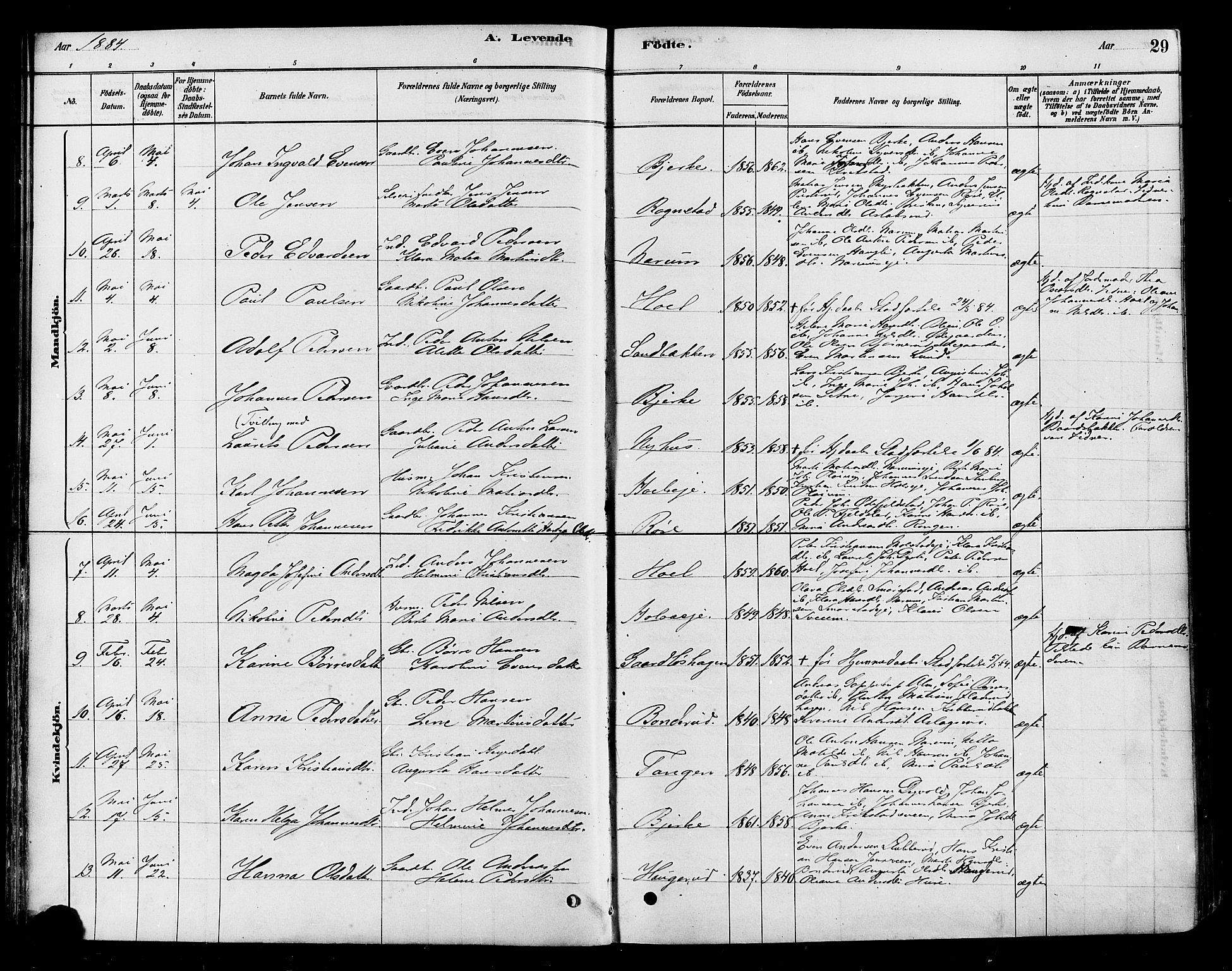 Vestre Toten prestekontor, AV/SAH-PREST-108/H/Ha/Haa/L0010: Parish register (official) no. 10, 1878-1894, p. 29