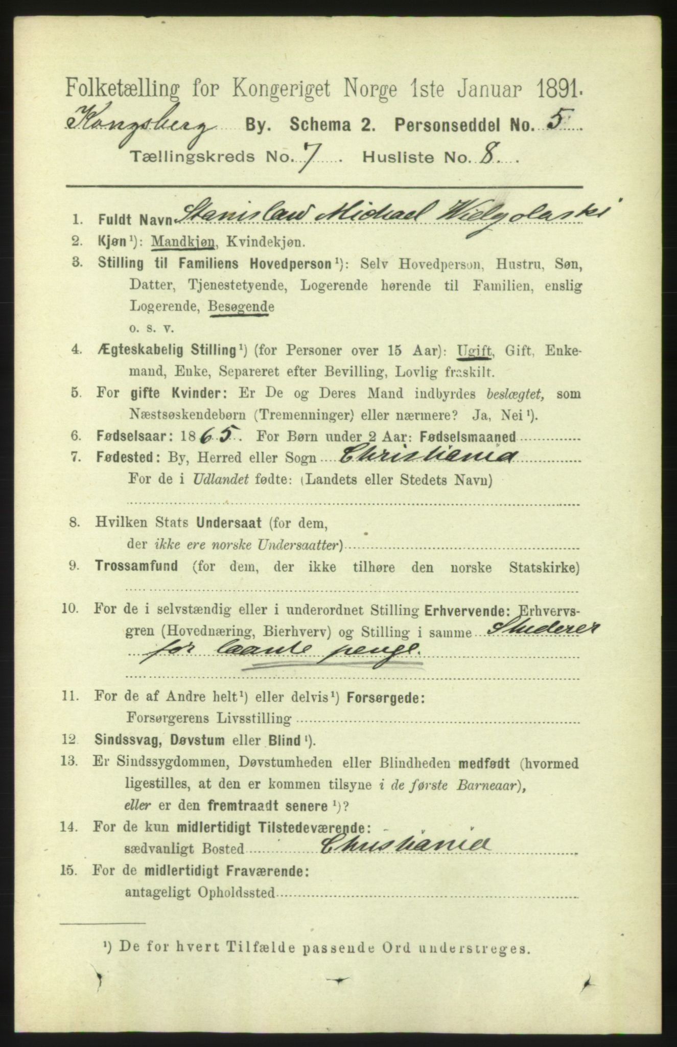 RA, 1891 census for 0604 Kongsberg, 1891, p. 5064