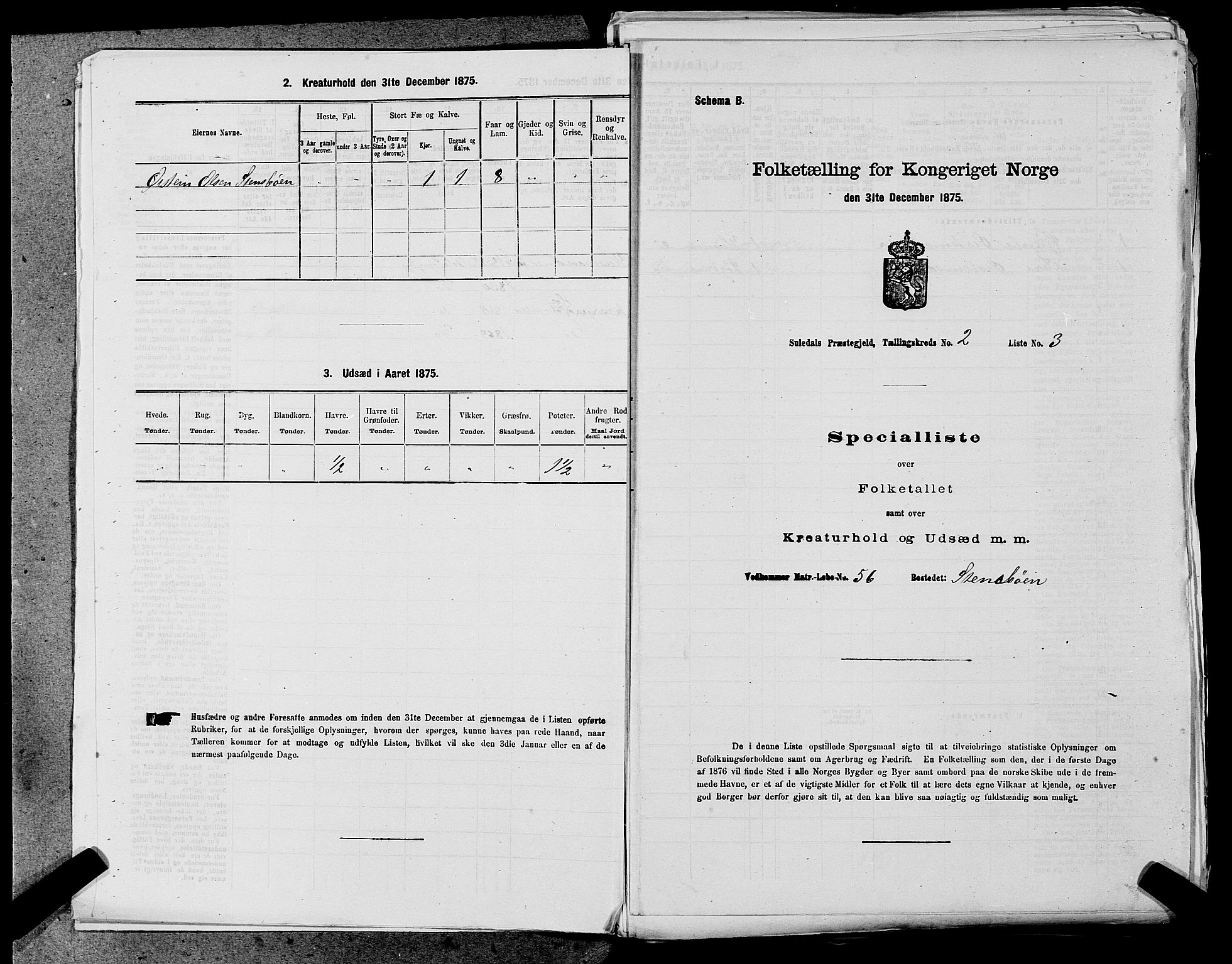 SAST, 1875 census for 1134P Suldal, 1875, p. 172