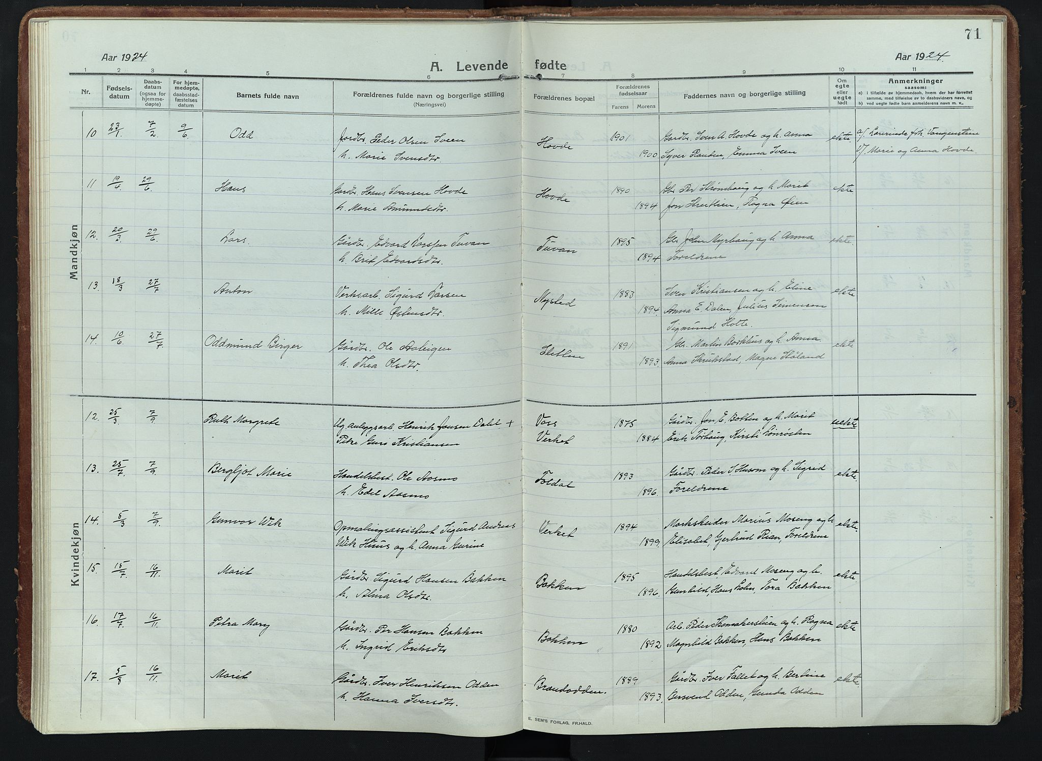 Alvdal prestekontor, AV/SAH-PREST-060/H/Ha/Haa/L0005: Parish register (official) no. 5, 1913-1930, p. 71