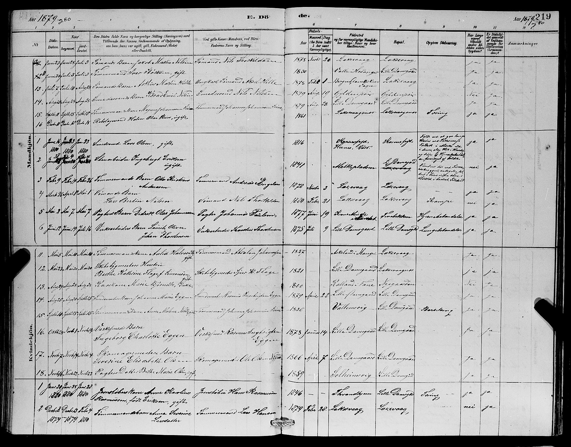 Laksevåg Sokneprestembete, SAB/A-76501/H/Ha/Hab/Haba/L0002: Parish register (copy) no. A 2, 1877-1887, p. 219