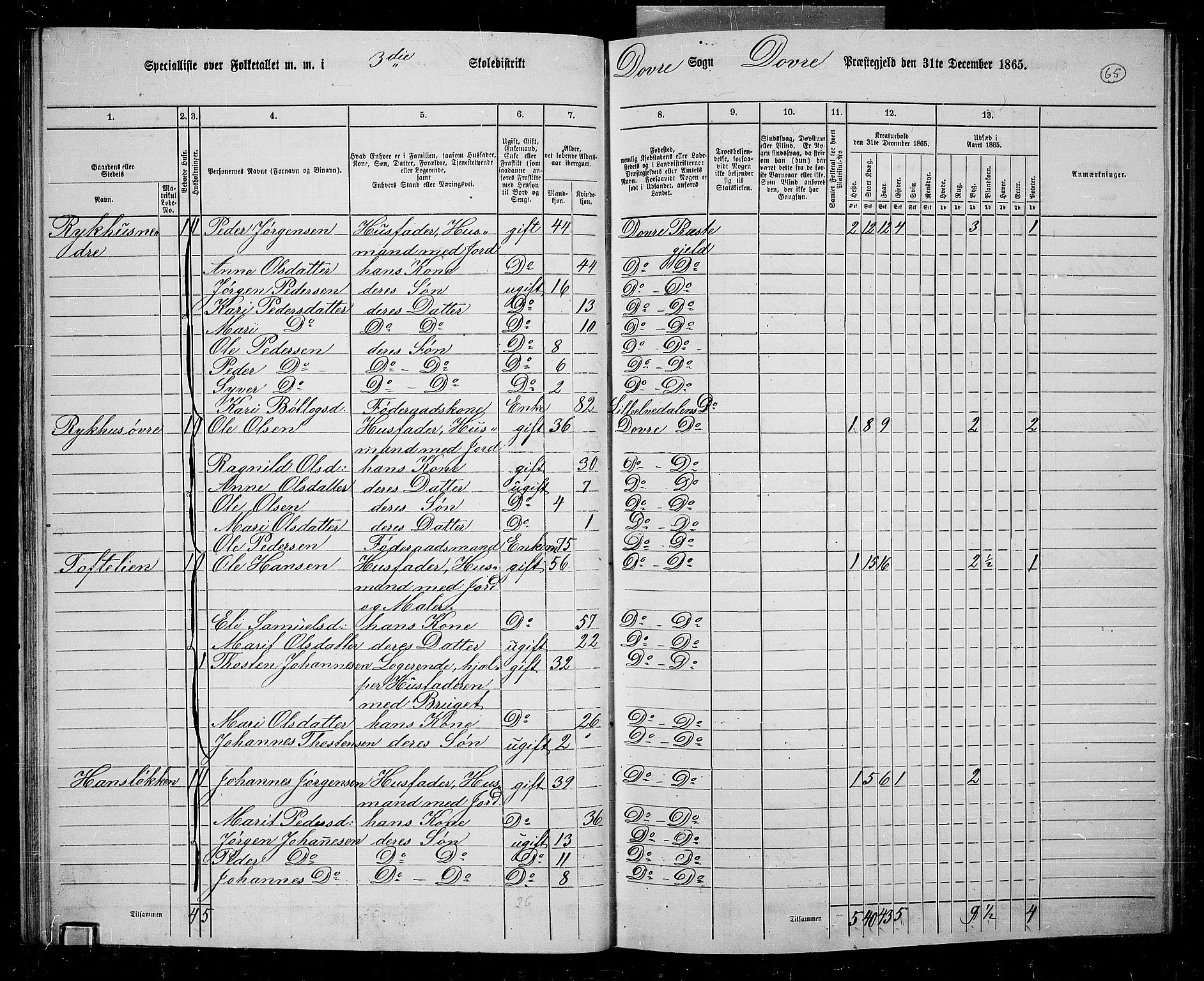 RA, 1865 census for Dovre, 1865, p. 61