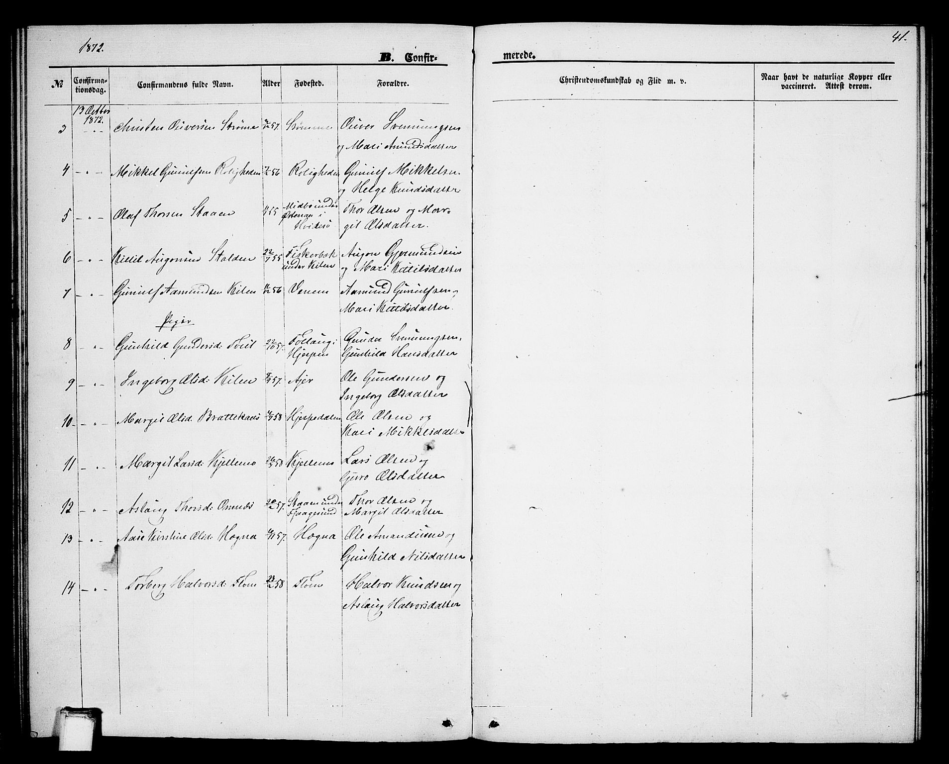 Lunde kirkebøker, SAKO/A-282/G/Gb/L0001: Parish register (copy) no. II 1, 1866-1887, p. 41