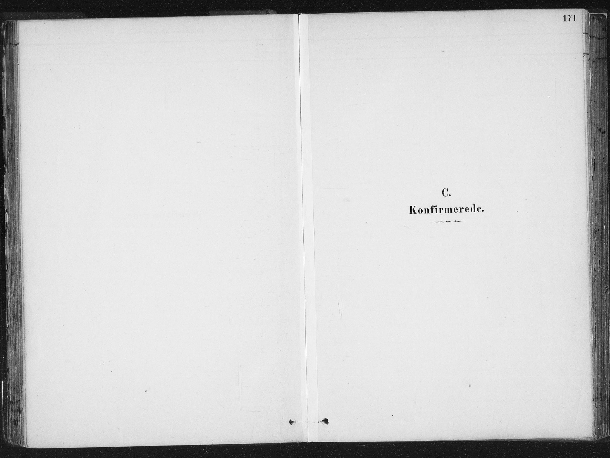 Ministerialprotokoller, klokkerbøker og fødselsregistre - Sør-Trøndelag, AV/SAT-A-1456/659/L0739: Parish register (official) no. 659A09, 1879-1893, p. 171