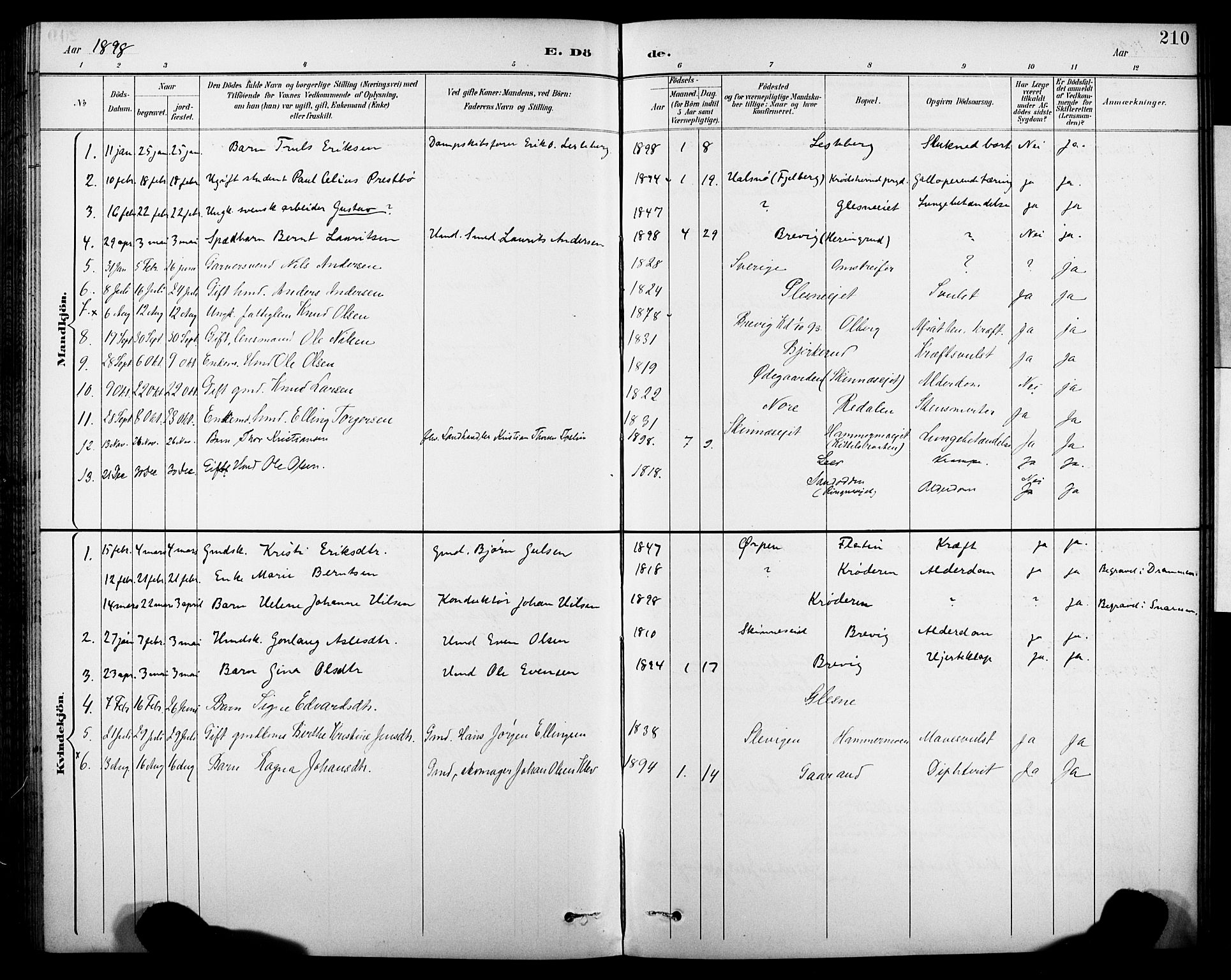 Krødsherad kirkebøker, SAKO/A-19/G/Ga/L0002: Parish register (copy) no. 2, 1894-1918, p. 210