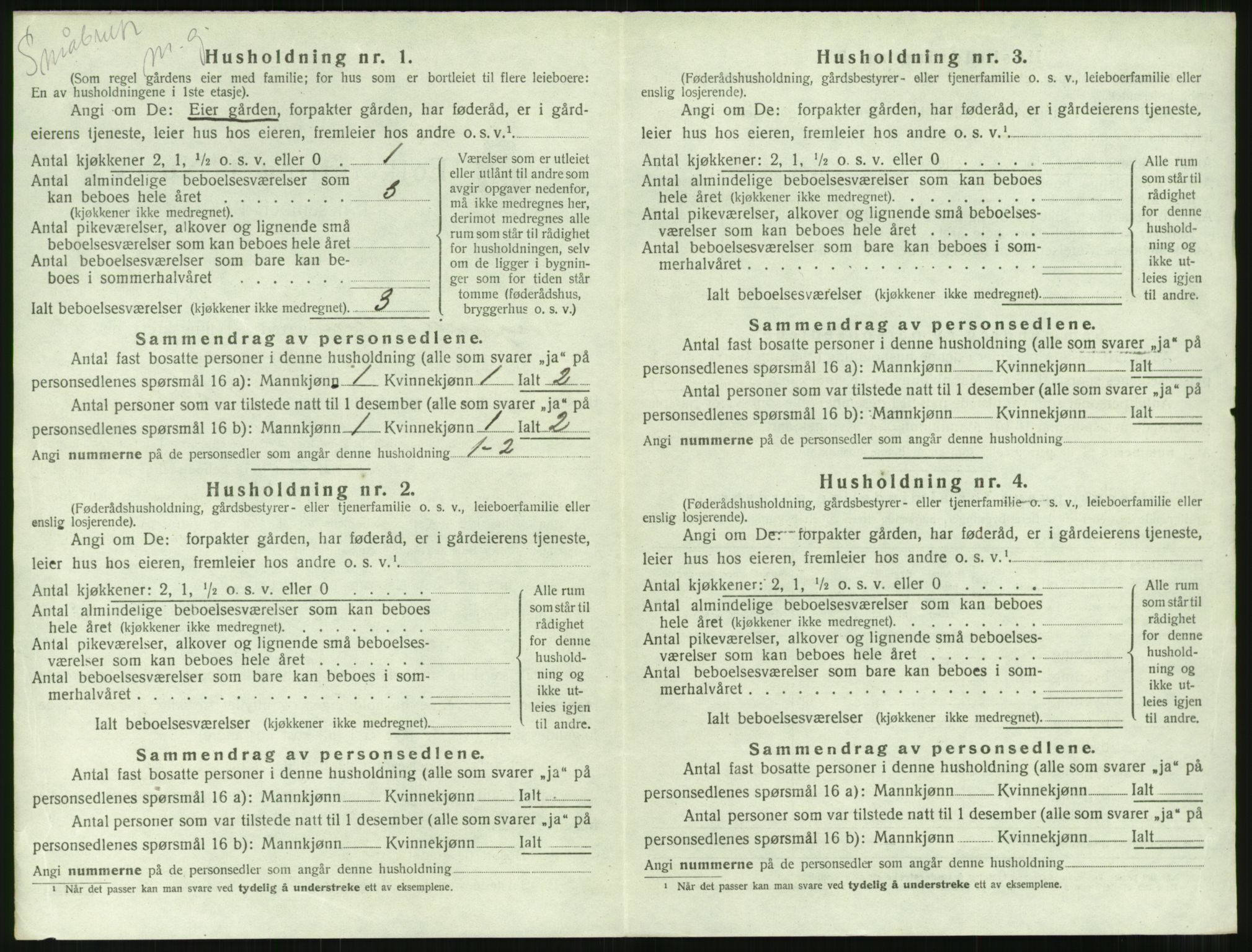 SAT, 1920 census for Borgund, 1920, p. 1119