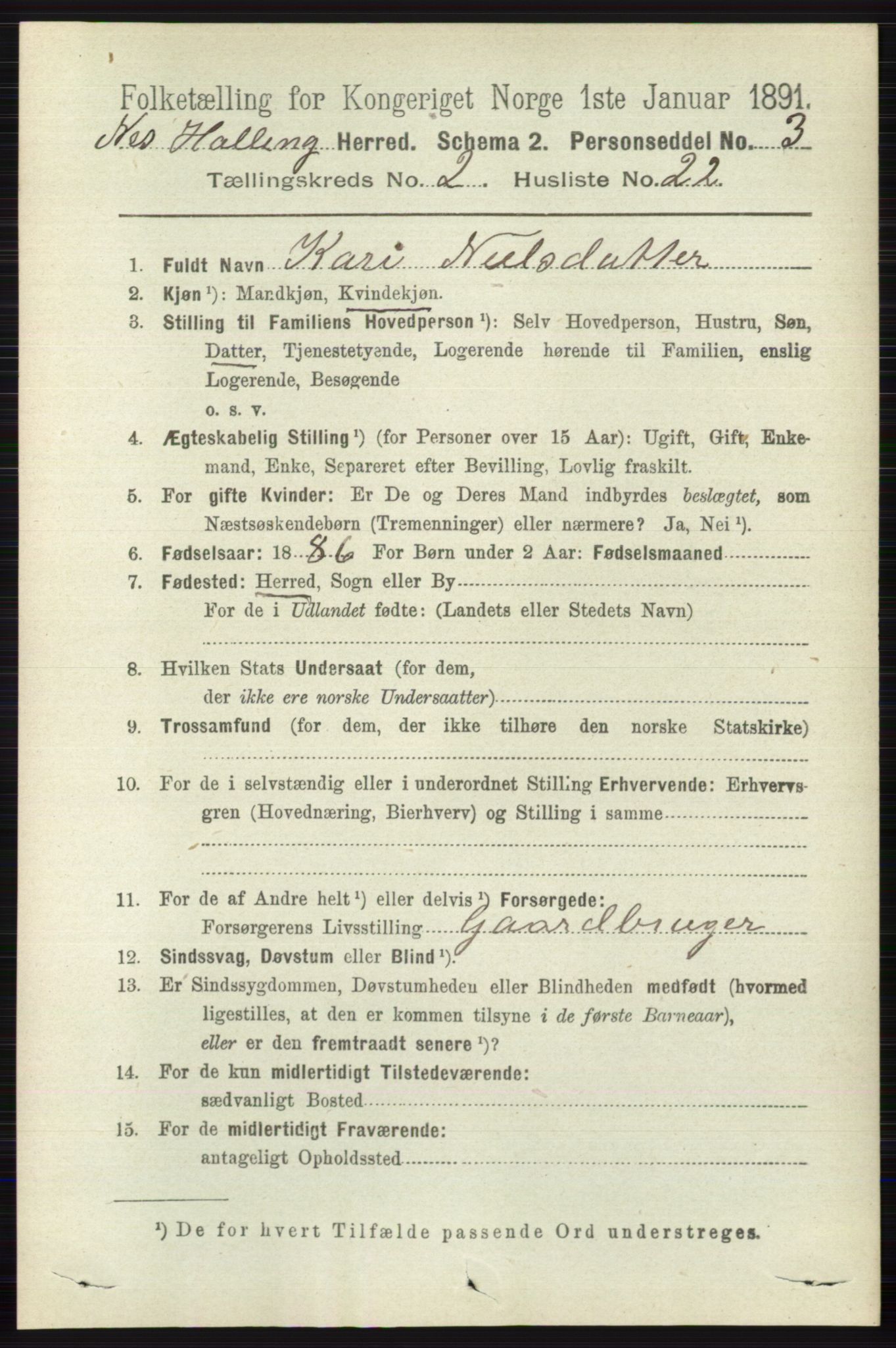 RA, 1891 census for 0616 Nes, 1891, p. 1102