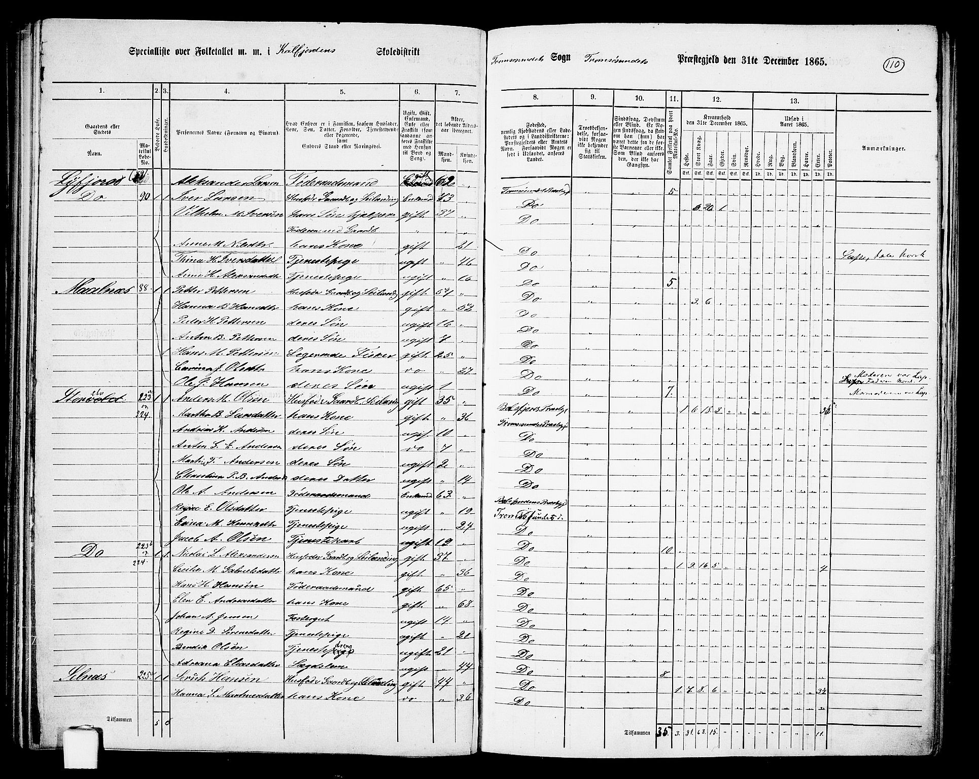 RA, 1865 census for Tromsøysund, 1865, p. 94