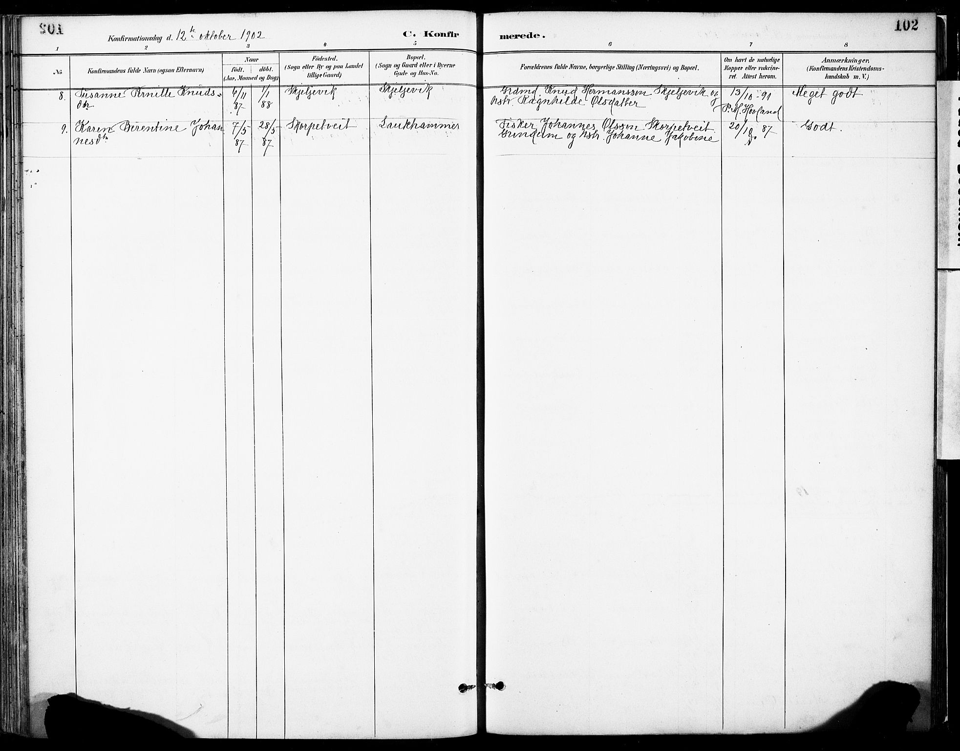 Tysnes sokneprestembete, AV/SAB-A-78601/H/Haa: Parish register (official) no. C 1, 1887-1912, p. 102