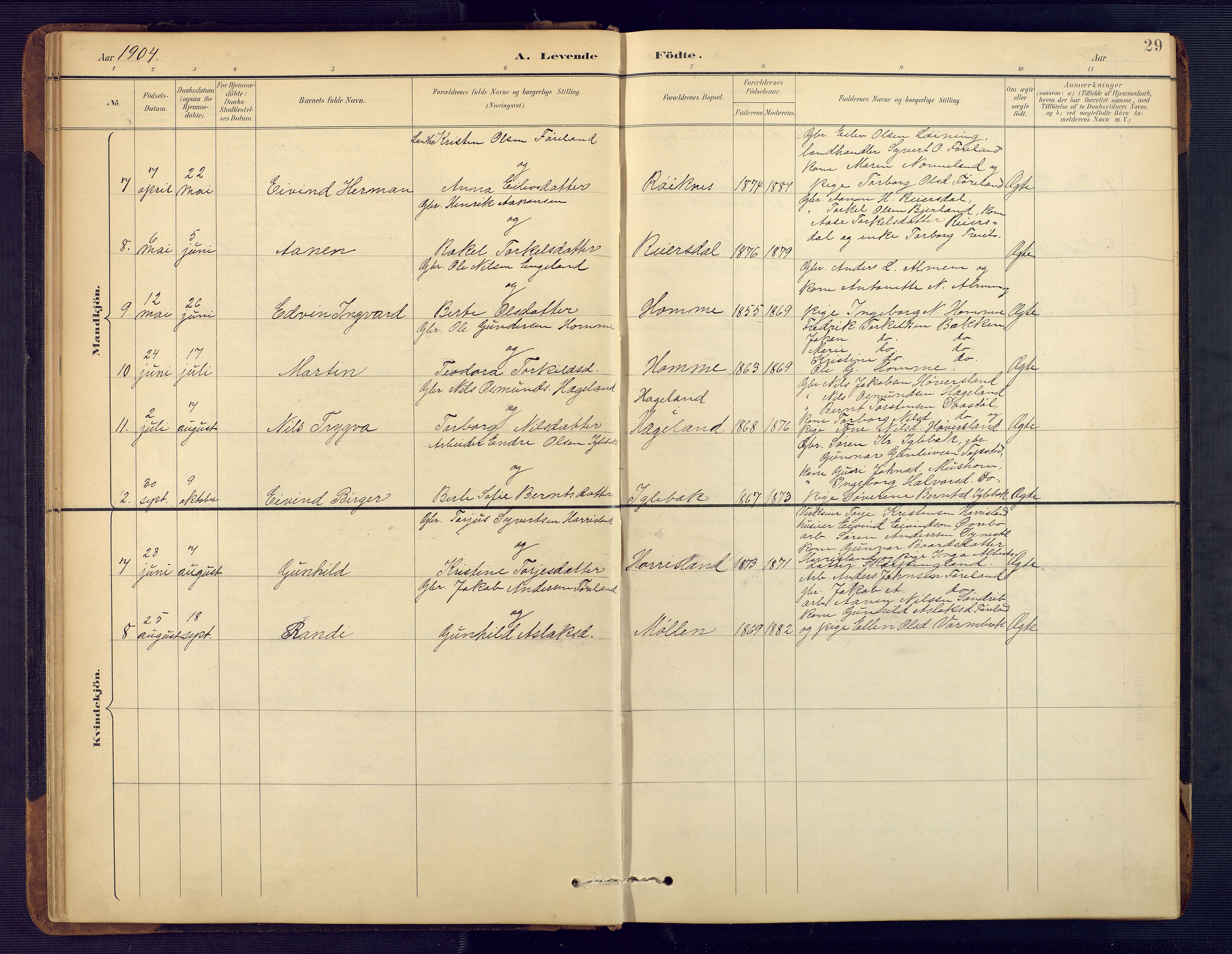 Vennesla sokneprestkontor, SAK/1111-0045/Fb/Fbc/L0003: Parish register (copy) no. B 3, 1895-1946, p. 29