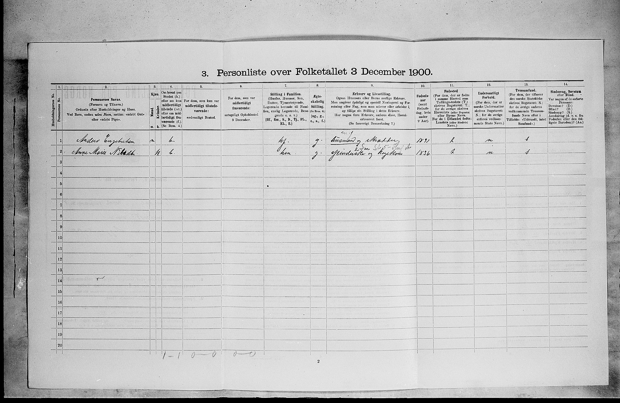 SAH, 1900 census for Romedal, 1900, p. 1313