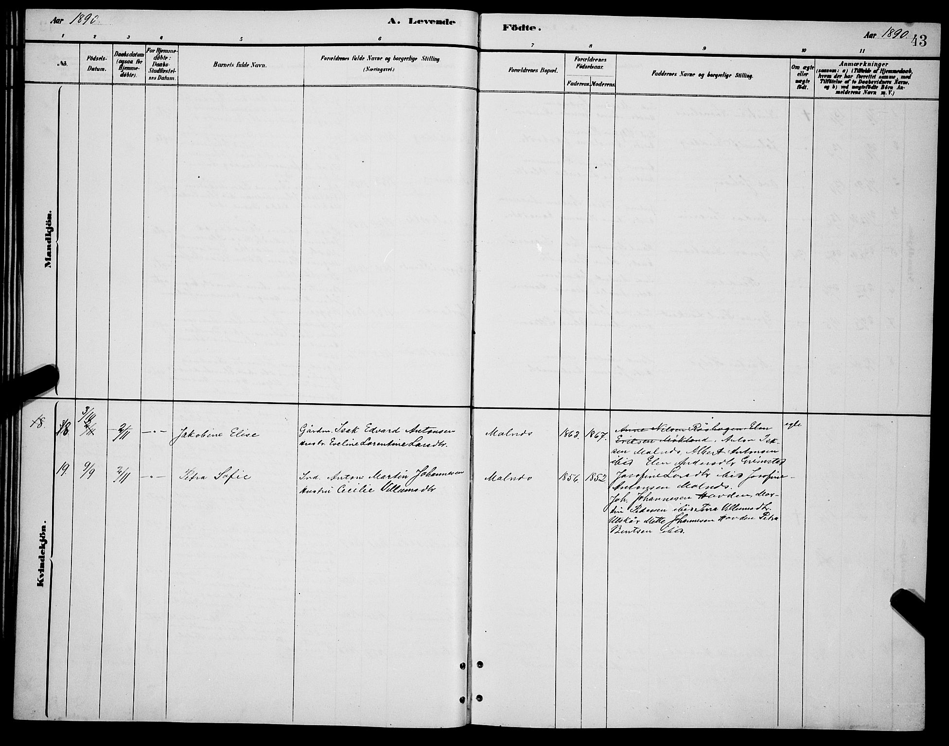 Ministerialprotokoller, klokkerbøker og fødselsregistre - Nordland, AV/SAT-A-1459/892/L1325: Parish register (copy) no. 892C02, 1878-1896, p. 43