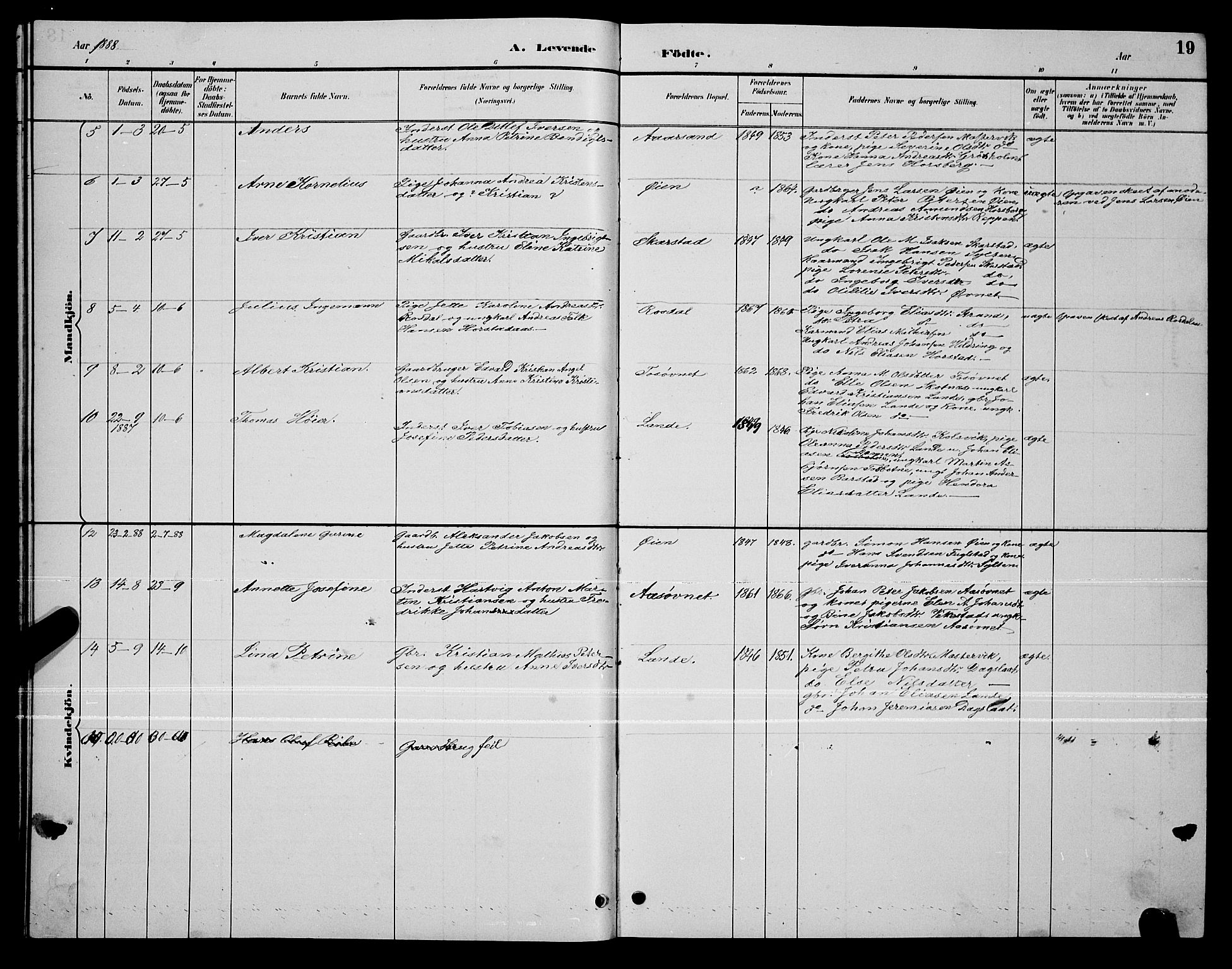 Ministerialprotokoller, klokkerbøker og fødselsregistre - Nordland, AV/SAT-A-1459/810/L0160: Parish register (copy) no. 810C03, 1884-1896, p. 19