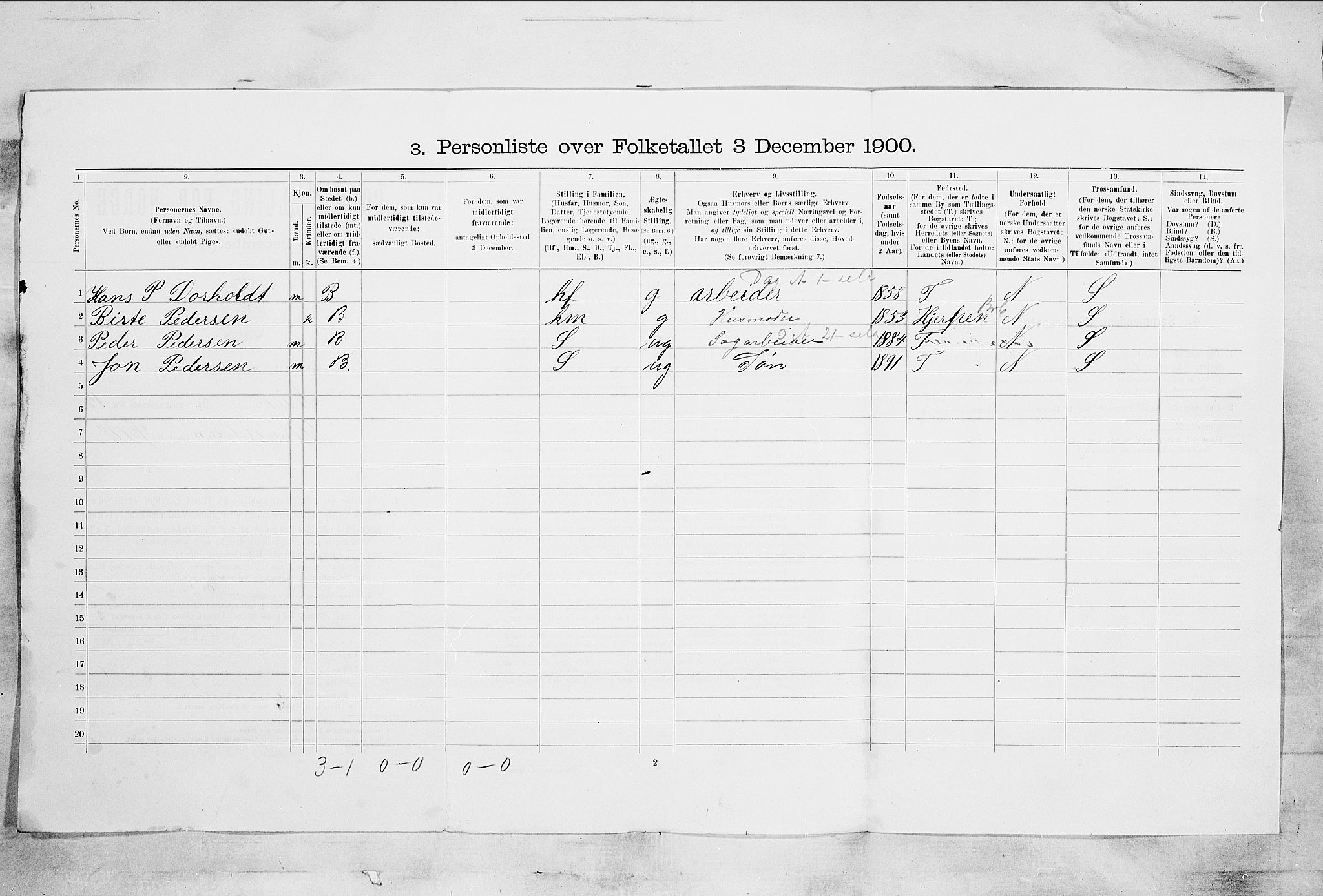 SAKO, 1900 census for Skien, 1900, p. 2105