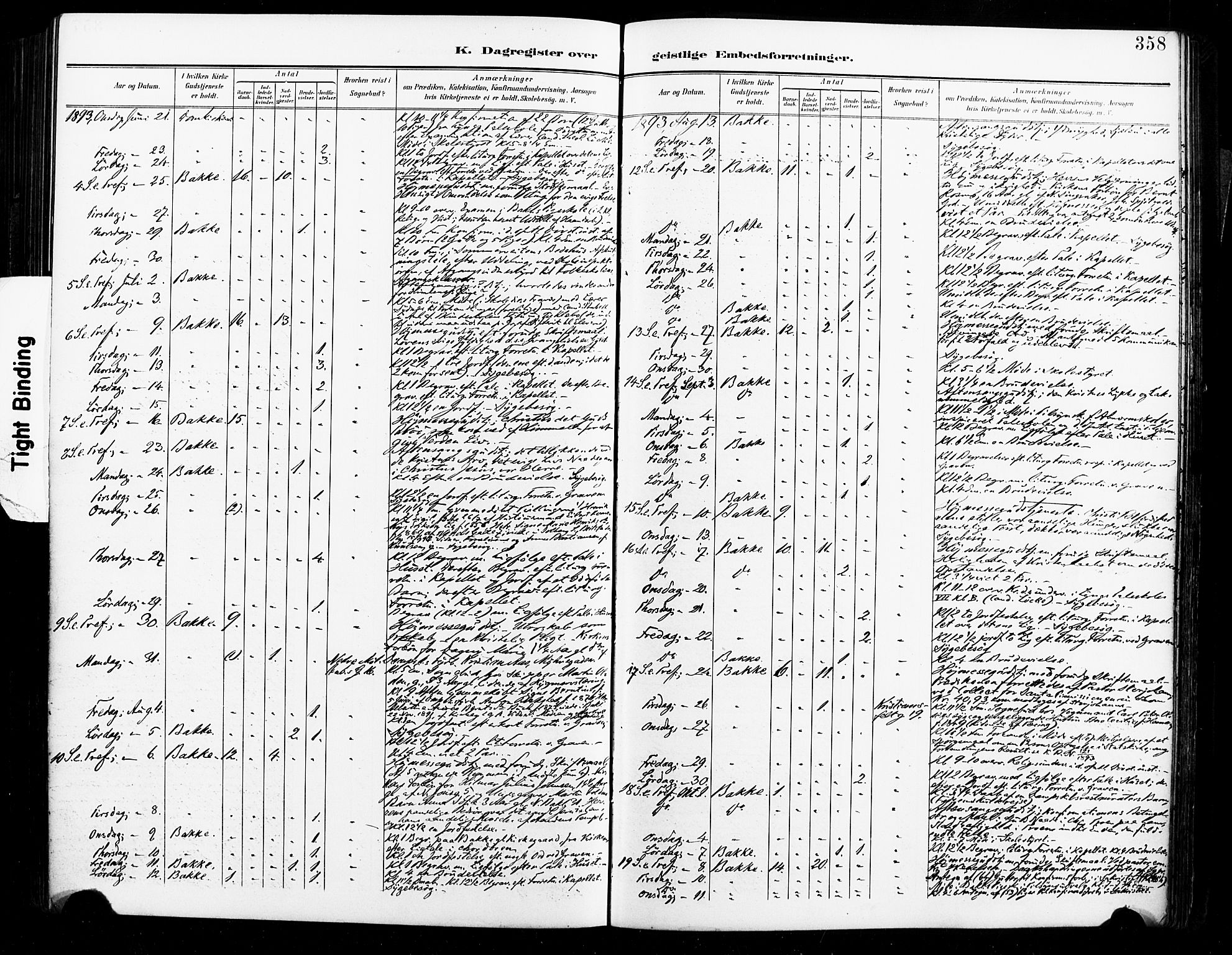 Ministerialprotokoller, klokkerbøker og fødselsregistre - Sør-Trøndelag, SAT/A-1456/604/L0198: Parish register (official) no. 604A19, 1893-1900, p. 358