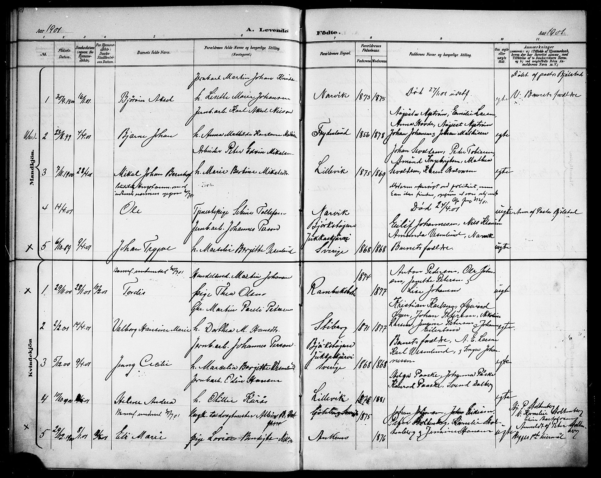 Ministerialprotokoller, klokkerbøker og fødselsregistre - Nordland, AV/SAT-A-1459/866/L0953: Parish register (copy) no. 866C02, 1900-1905