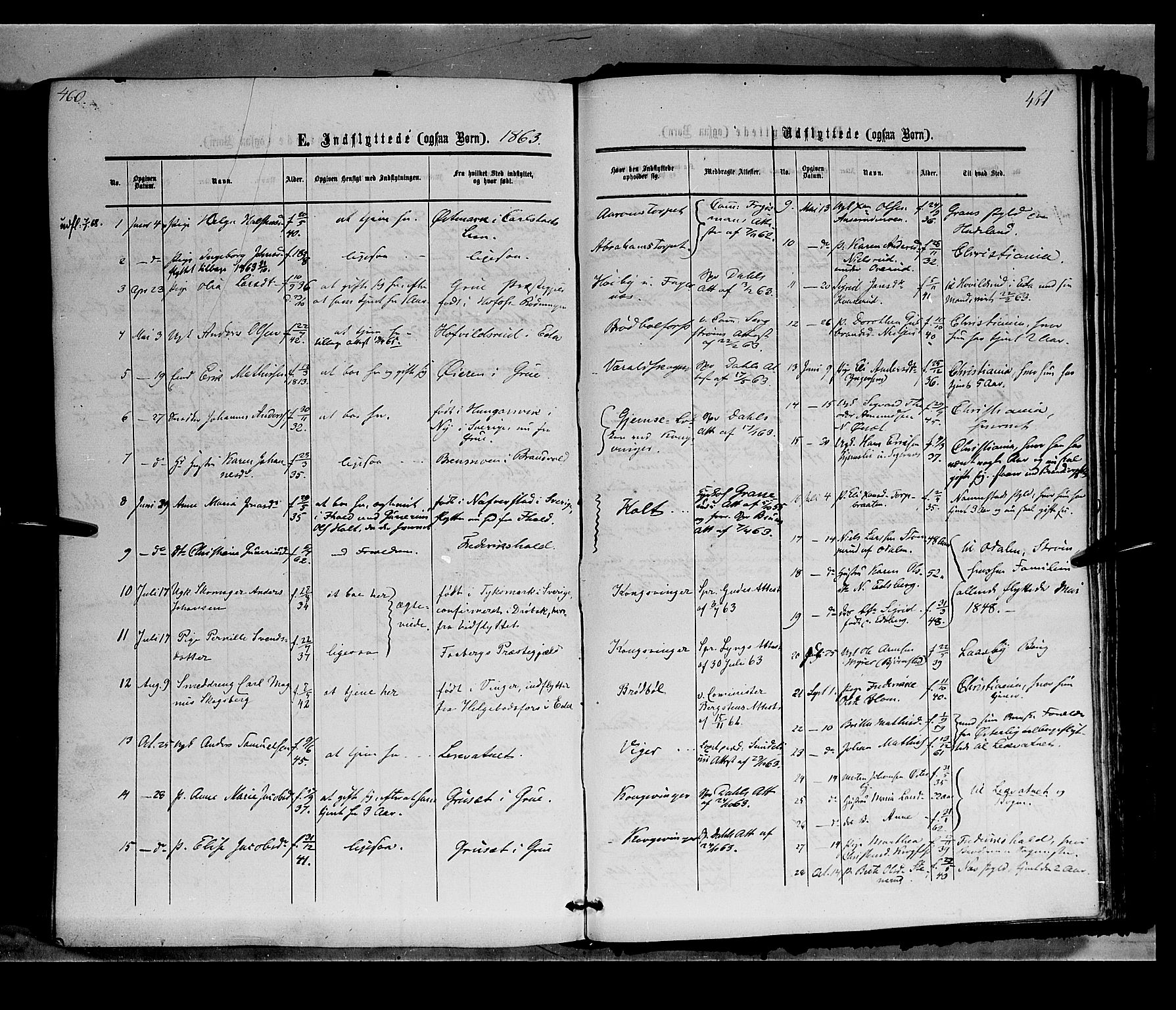 Vinger prestekontor, SAH/PREST-024/H/Ha/Haa/L0011: Parish register (official) no. 11, 1862-1870, p. 461