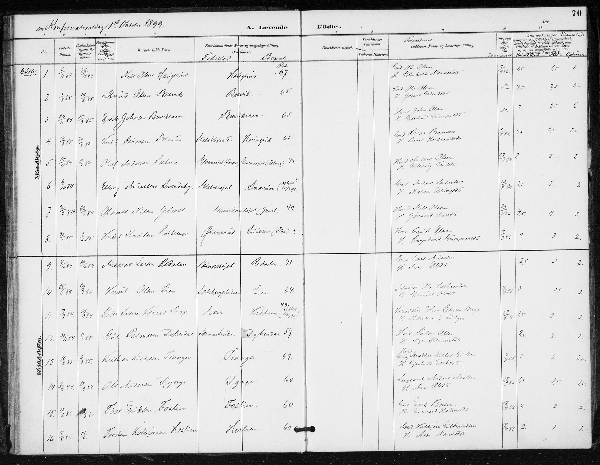 Krødsherad kirkebøker, SAKO/A-19/F/Fa/L0006: Parish register (official) no. 6, 1889-1899, p. 70