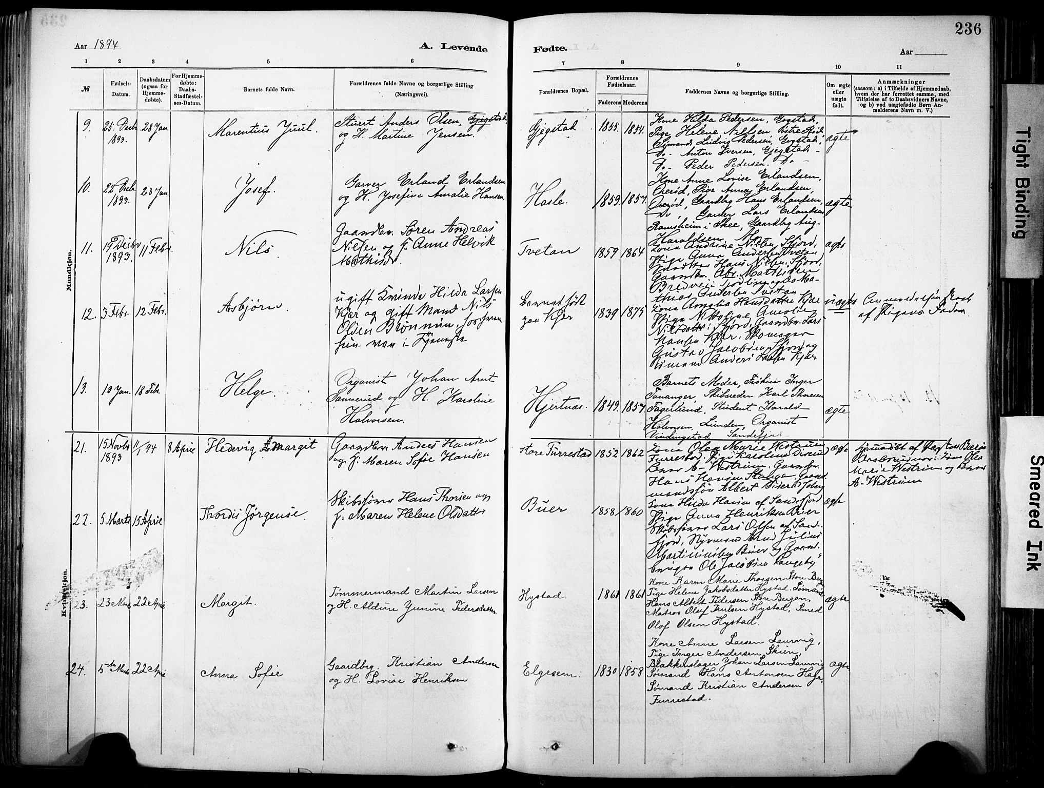 Sandar kirkebøker, SAKO/A-243/F/Fa/L0012: Parish register (official) no. 12, 1883-1895, p. 236