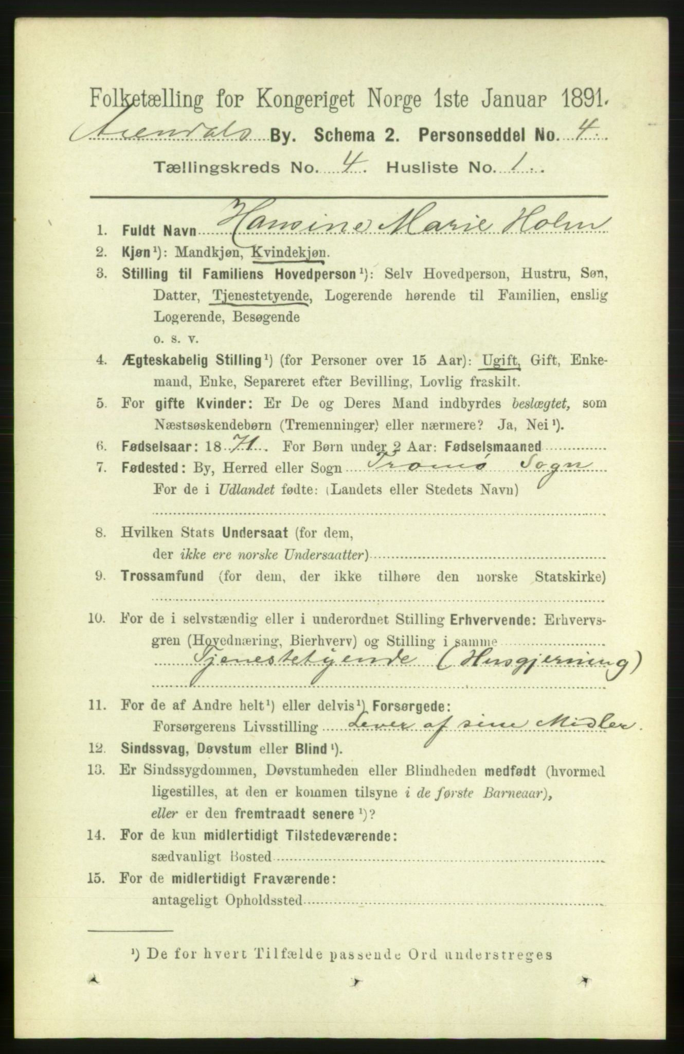 RA, 1891 census for 0903 Arendal, 1891, p. 1656