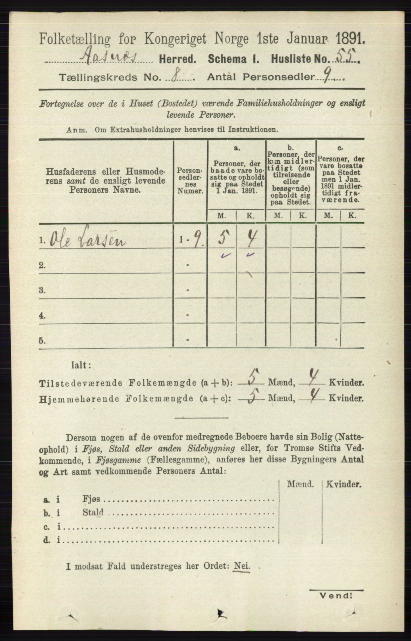 RA, 1891 census for 0425 Åsnes, 1891, p. 4176