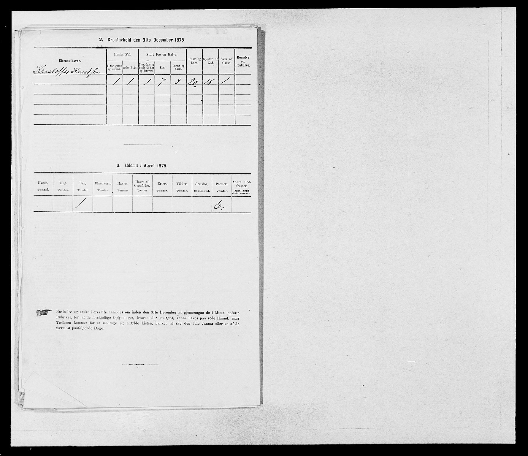 SAB, 1875 census for 1426P Luster, 1875, p. 244