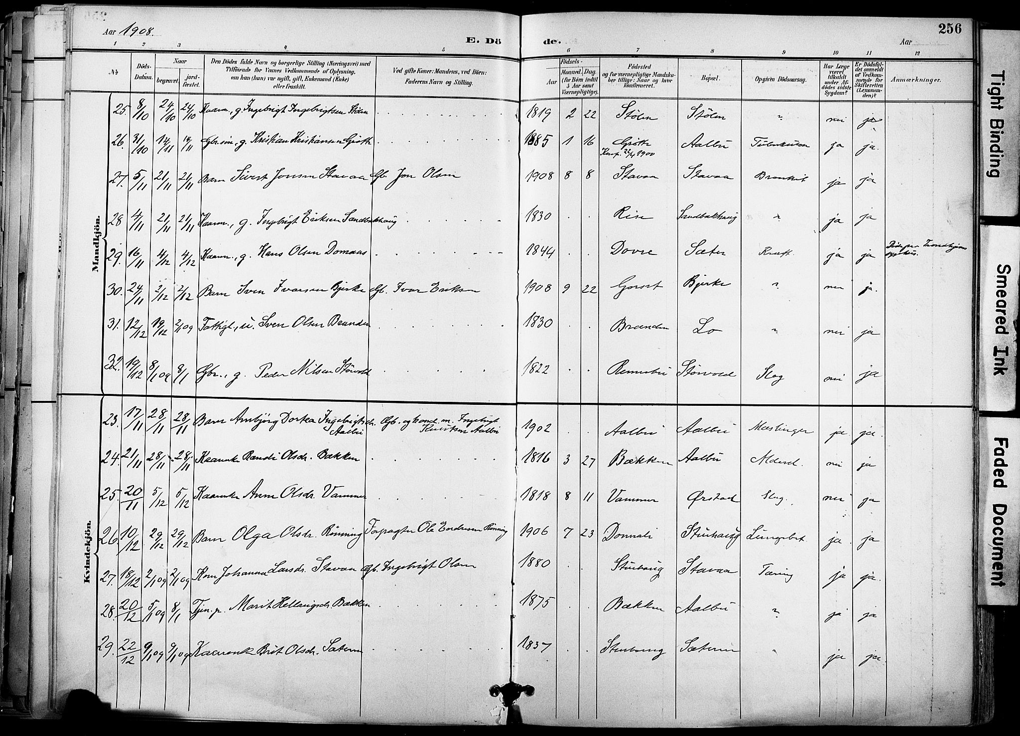 Ministerialprotokoller, klokkerbøker og fødselsregistre - Sør-Trøndelag, AV/SAT-A-1456/678/L0902: Parish register (official) no. 678A11, 1895-1911, p. 256