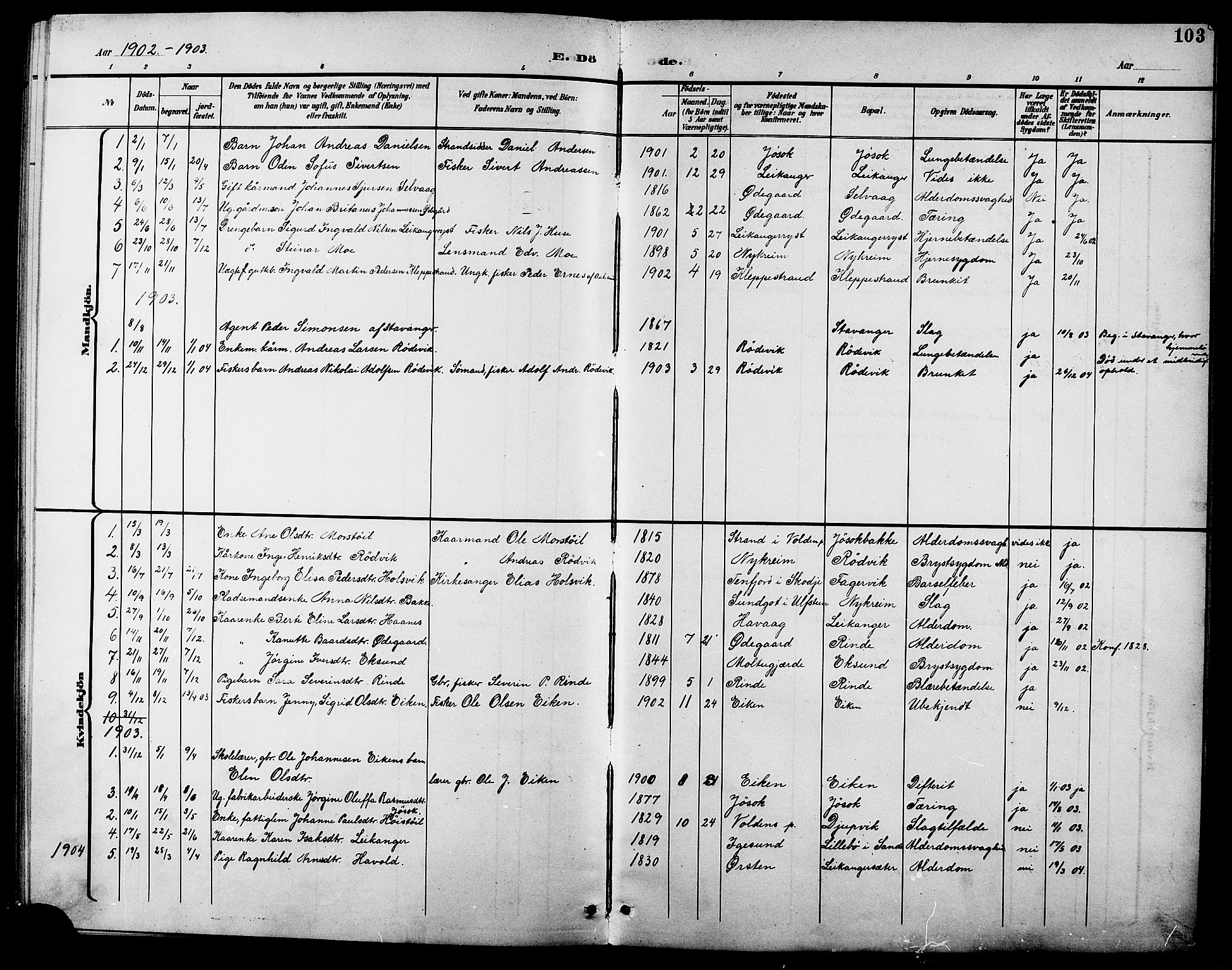 Ministerialprotokoller, klokkerbøker og fødselsregistre - Møre og Romsdal, AV/SAT-A-1454/508/L0098: Parish register (copy) no. 508C02, 1898-1916, p. 103