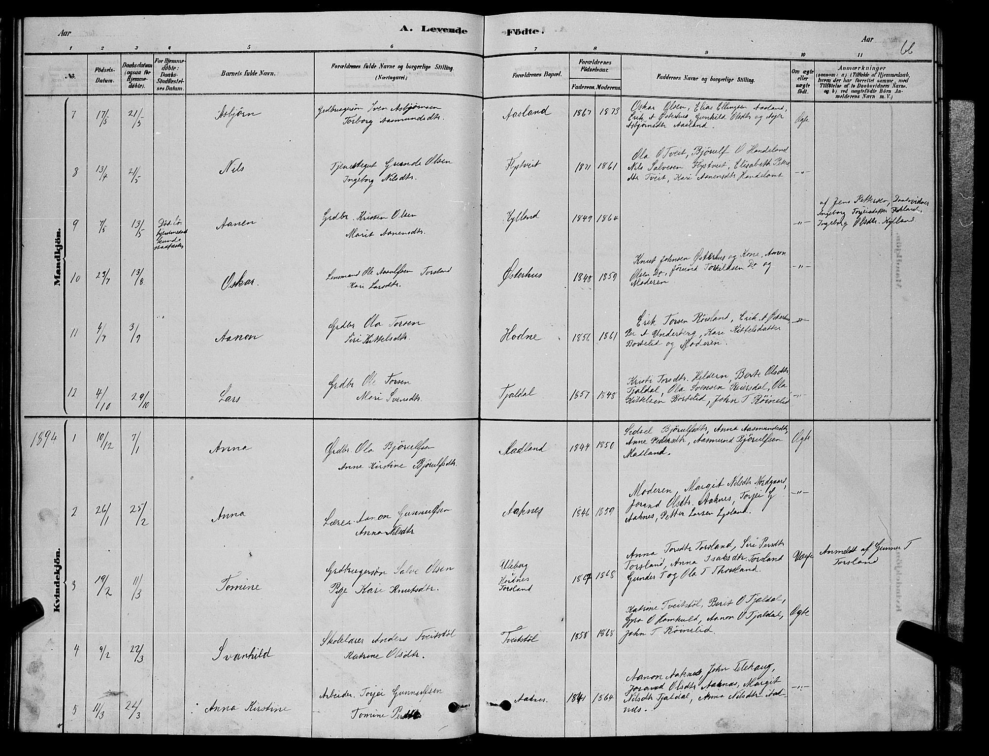 Åseral sokneprestkontor, SAK/1111-0051/F/Fb/L0002: Parish register (copy) no. B 2, 1878-1899, p. 66