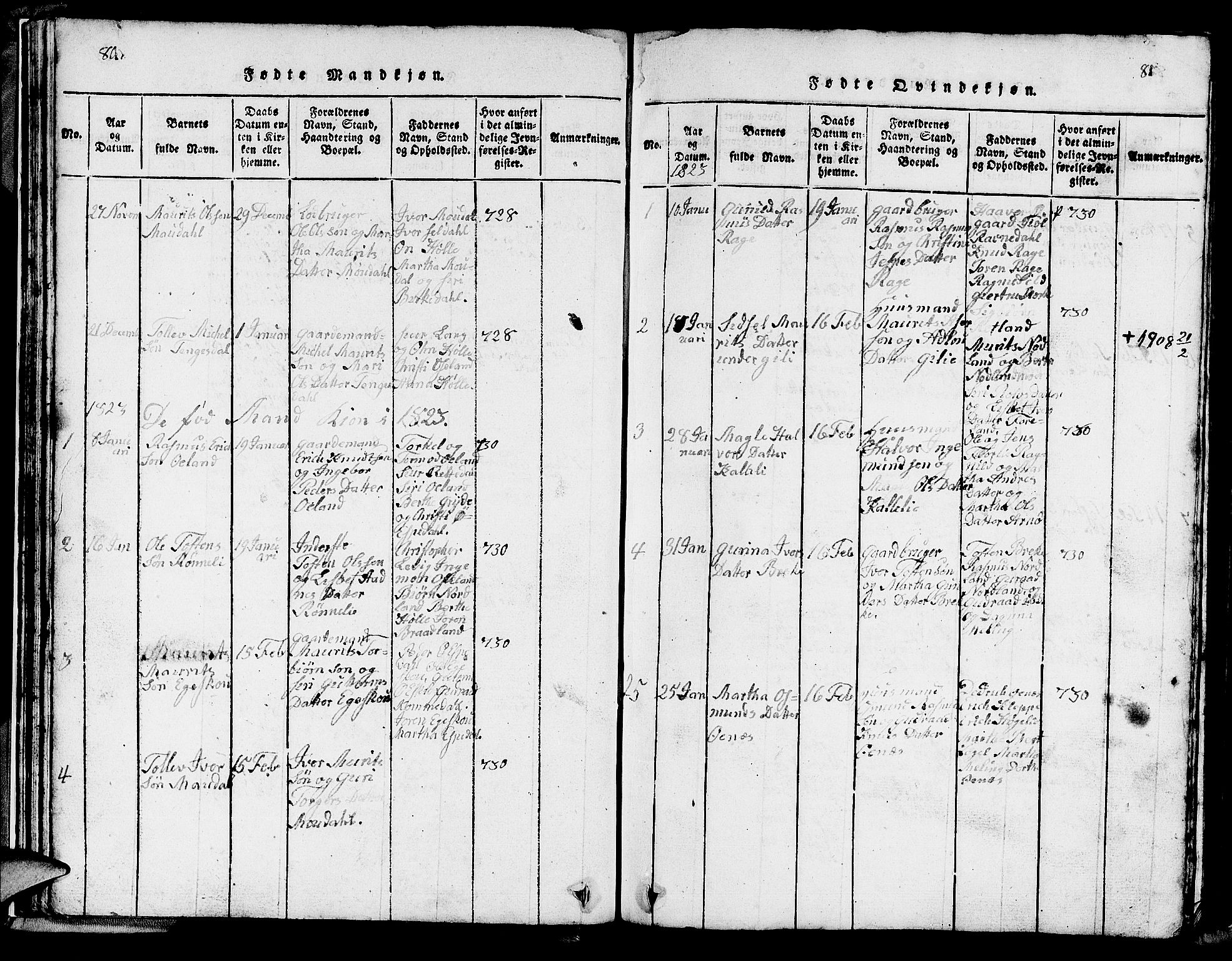Strand sokneprestkontor, SAST/A-101828/H/Ha/Hab/L0002: Parish register (copy) no. B 2, 1816-1854, p. 80-81