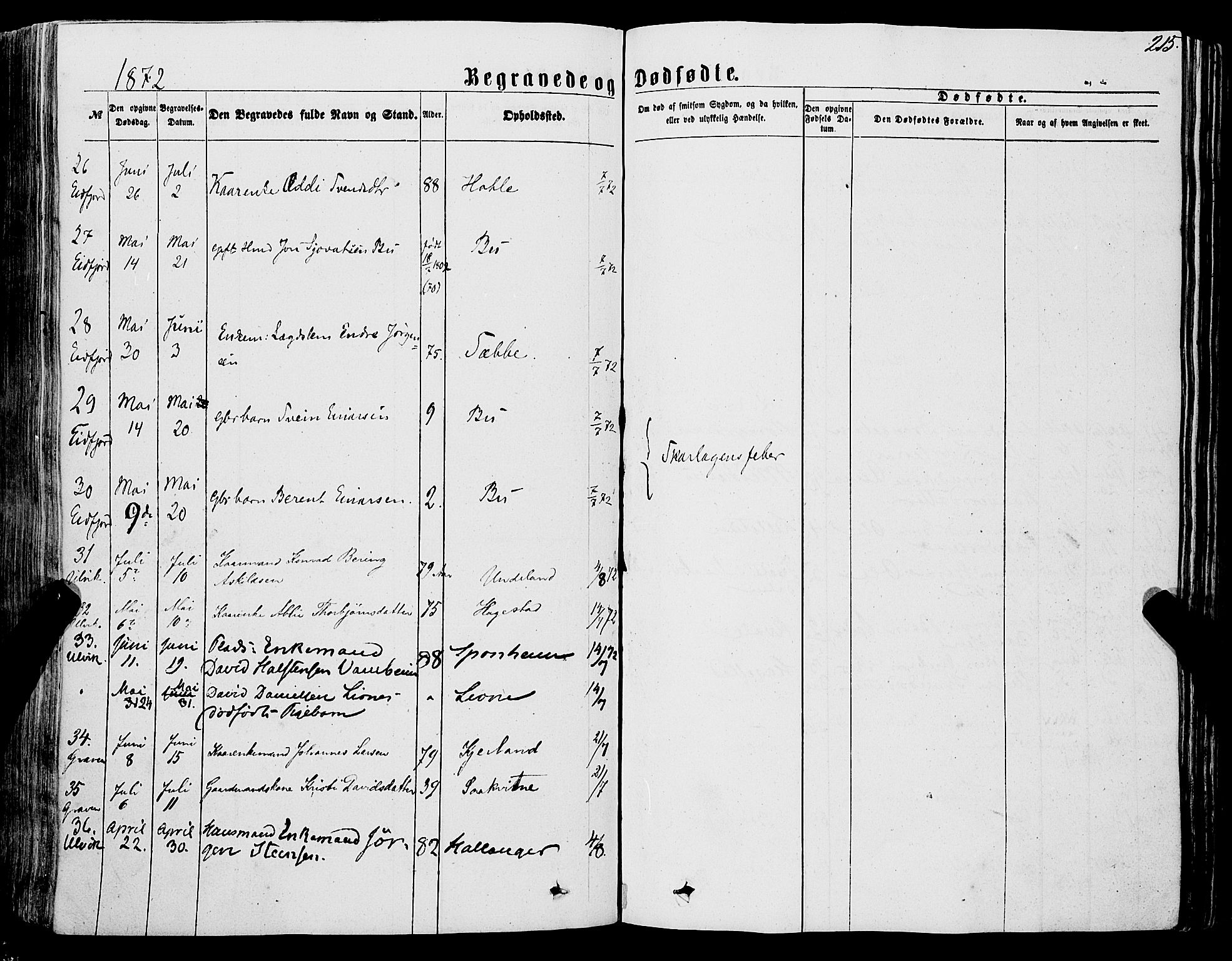 Ulvik sokneprestembete, AV/SAB-A-78801/H/Haa: Parish register (official) no. A 15, 1864-1878, p. 215