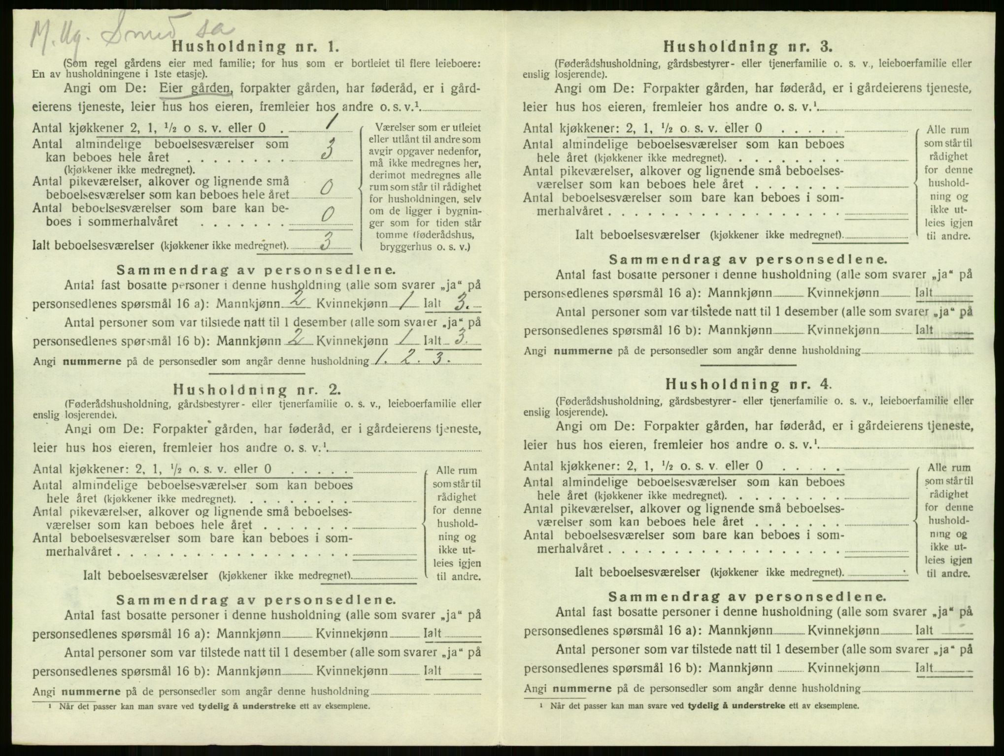 SAKO, 1920 census for Stokke, 1920, p. 1206