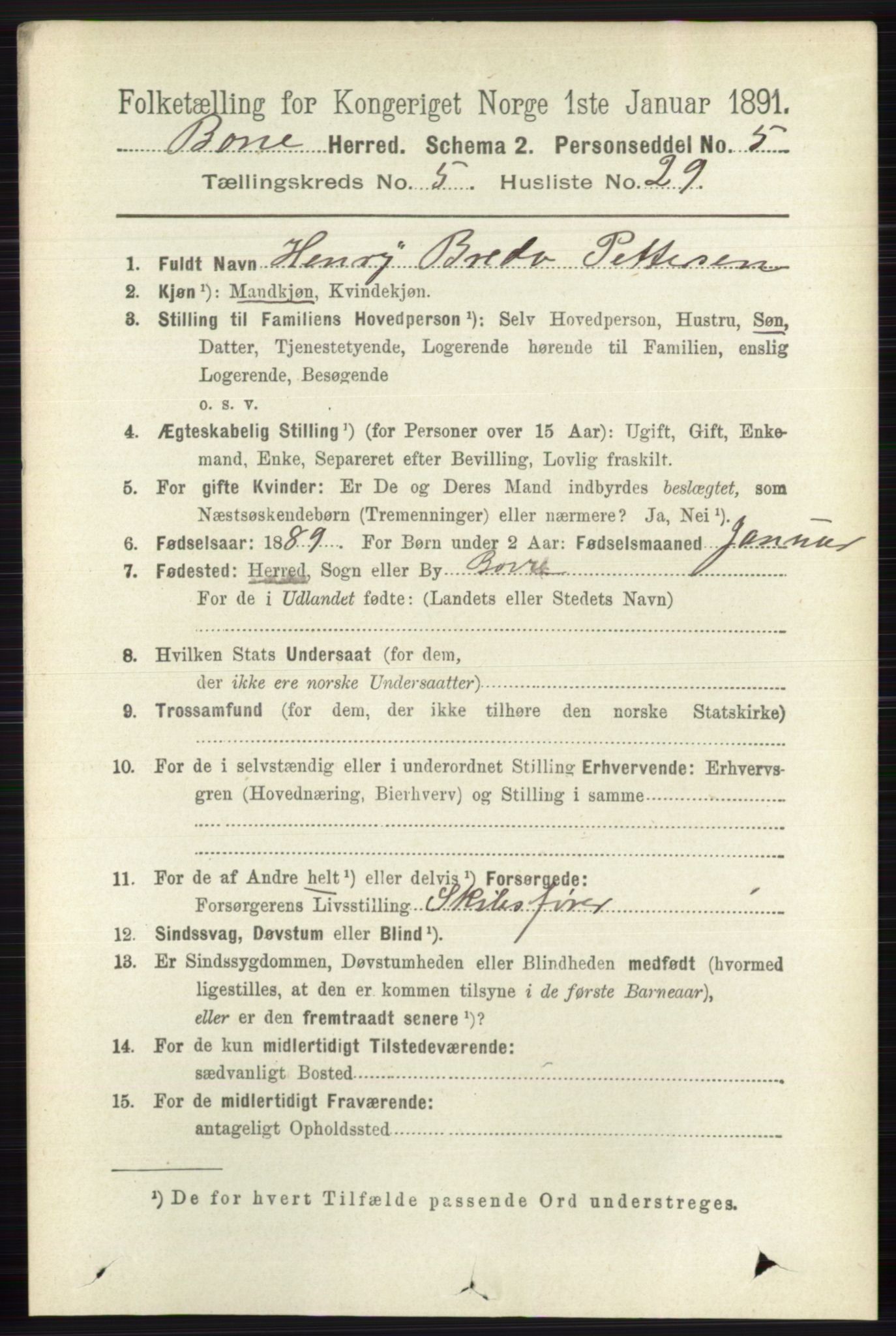 RA, 1891 census for 0717 Borre, 1891, p. 2198