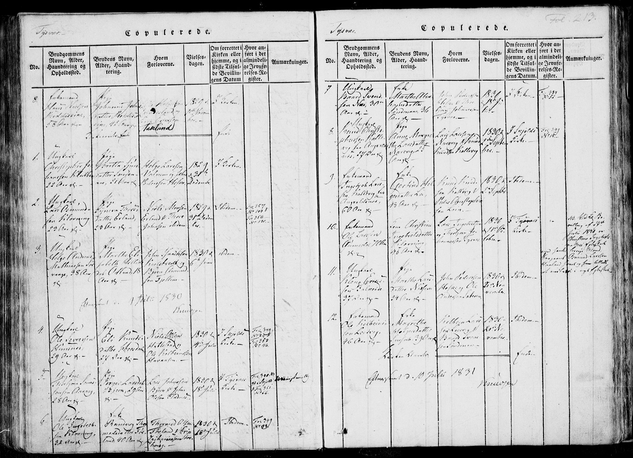 Skjold sokneprestkontor, SAST/A-101847/H/Ha/Haa/L0004: Parish register (official) no. A 4 /1, 1815-1830, p. 213