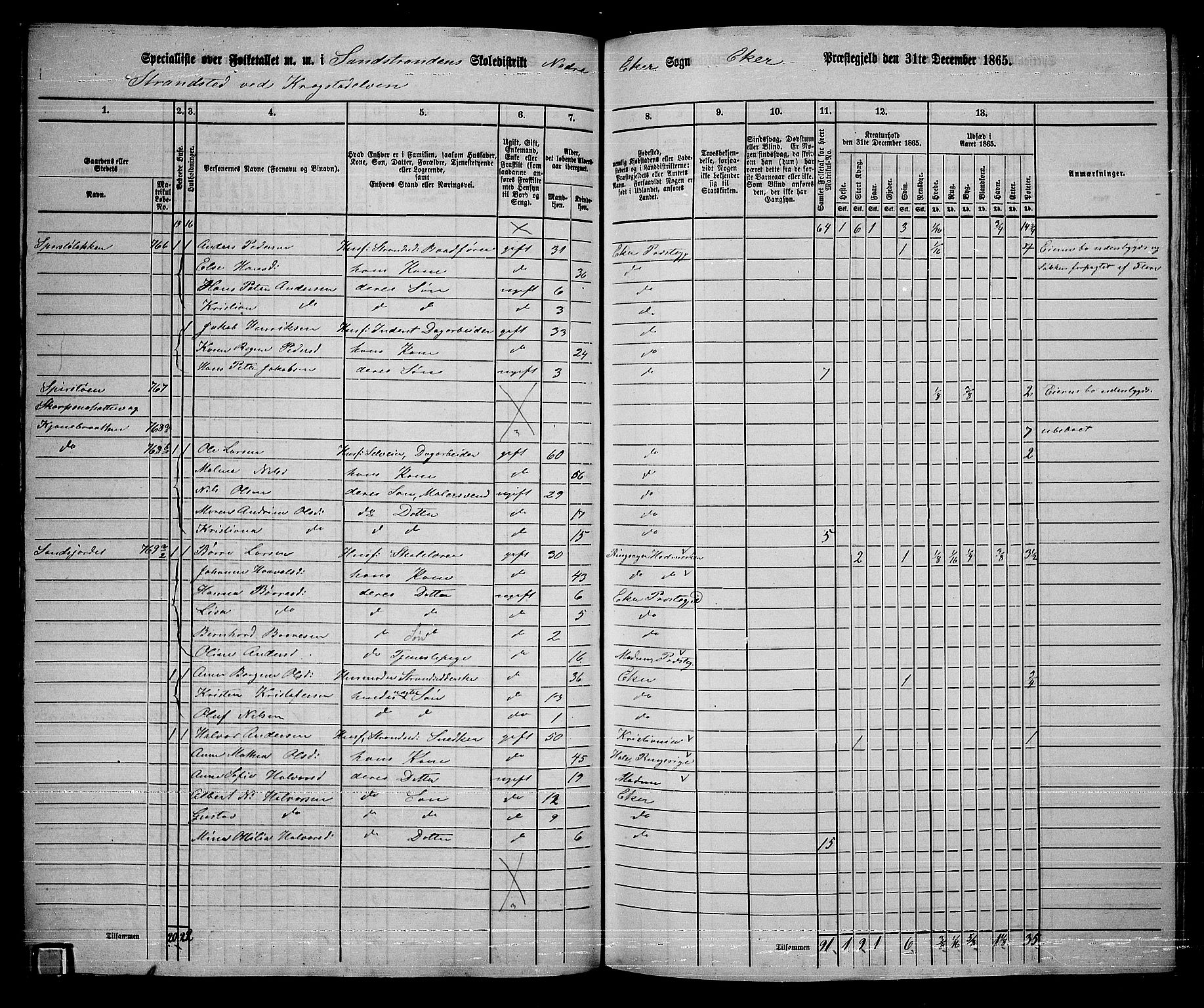 RA, 1865 census for Eiker, 1865, p. 388