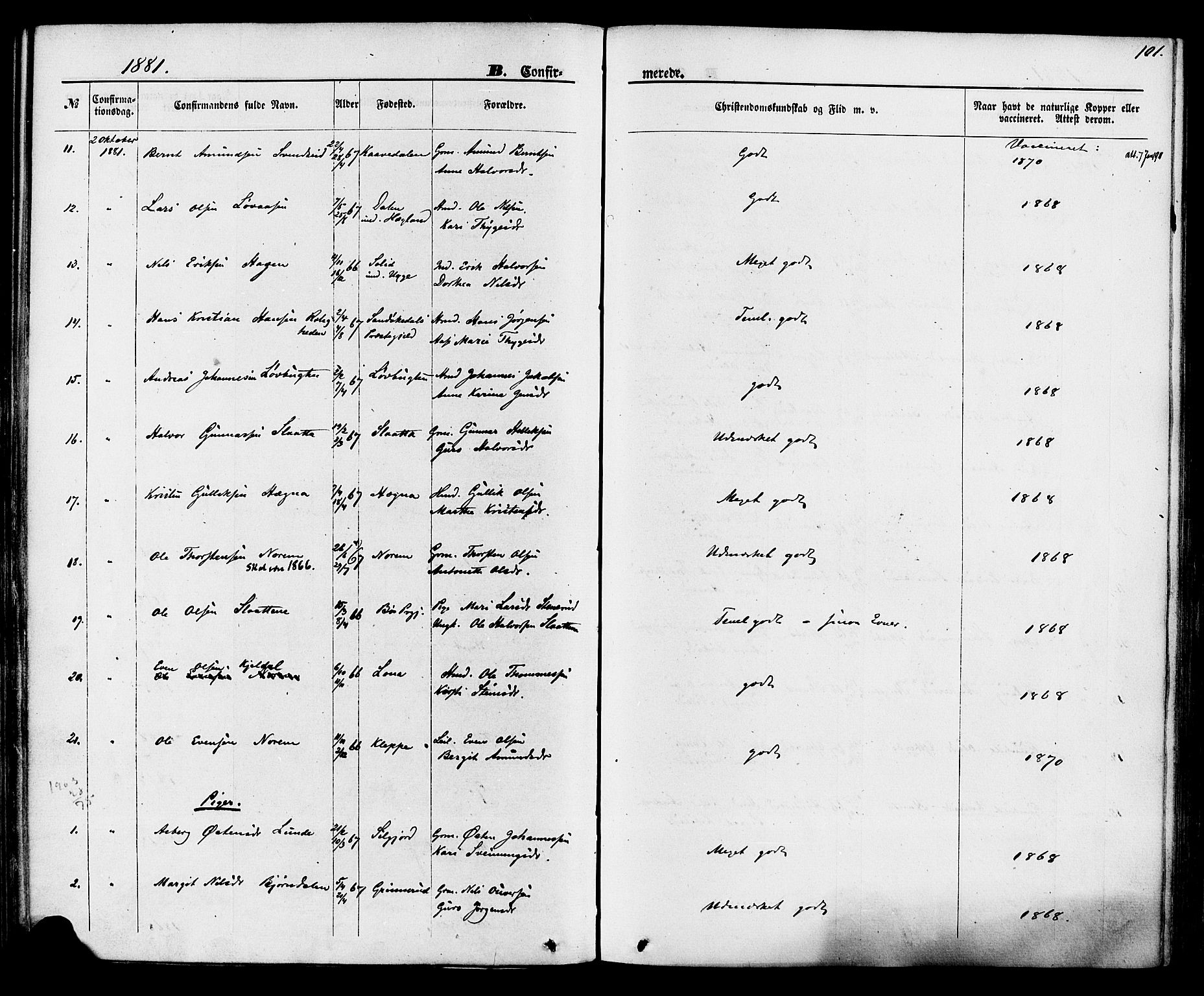 Lunde kirkebøker, SAKO/A-282/F/Fa/L0001: Parish register (official) no. I 1, 1866-1883, p. 101