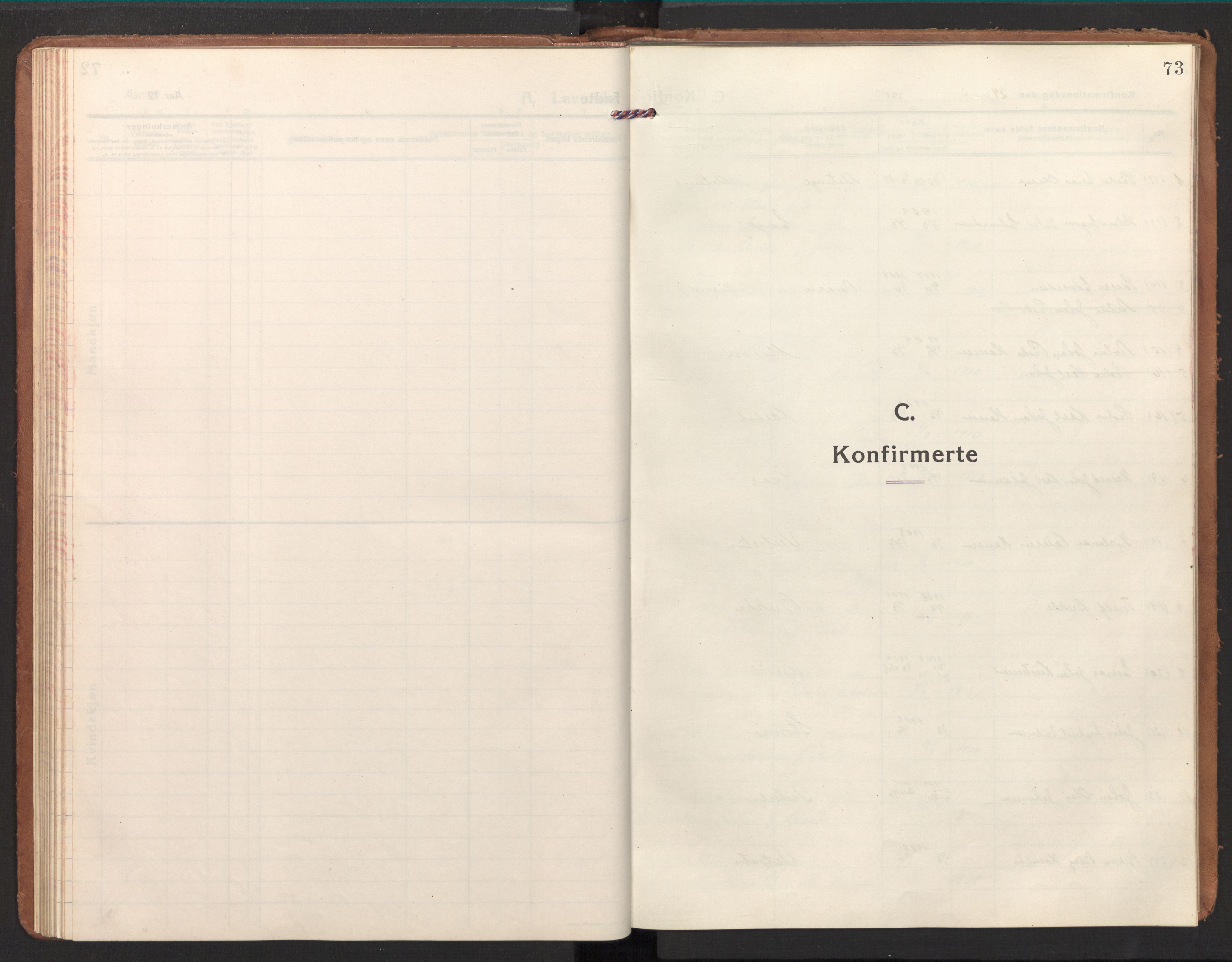 Ministerialprotokoller, klokkerbøker og fødselsregistre - Nordland, SAT/A-1459/848/L0688: Parish register (official) no. 848A01, 1913-1935, p. 73