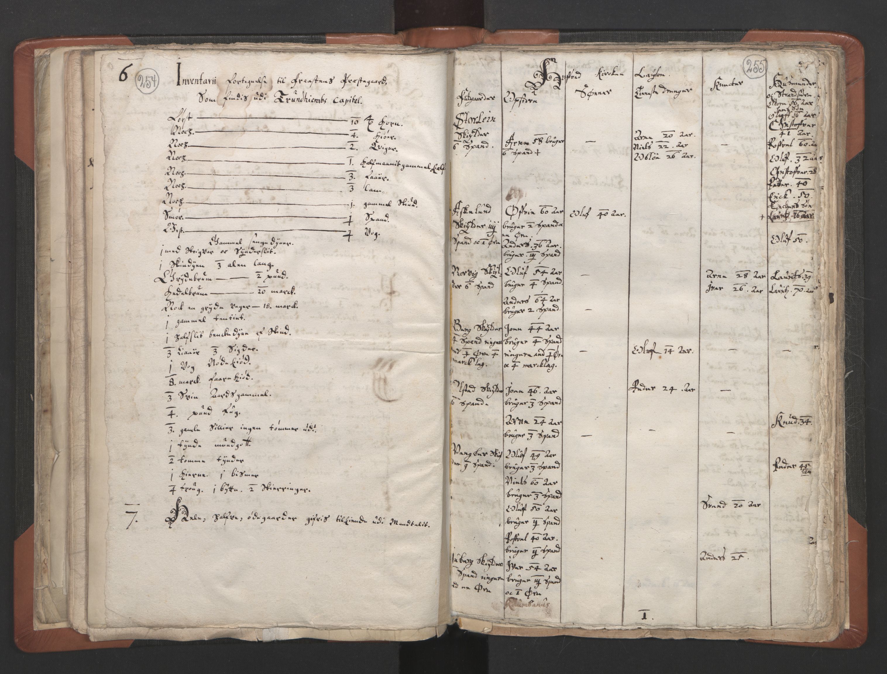 RA, Vicar's Census 1664-1666, no. 32: Innherad deanery, 1664-1666, p. 254-255