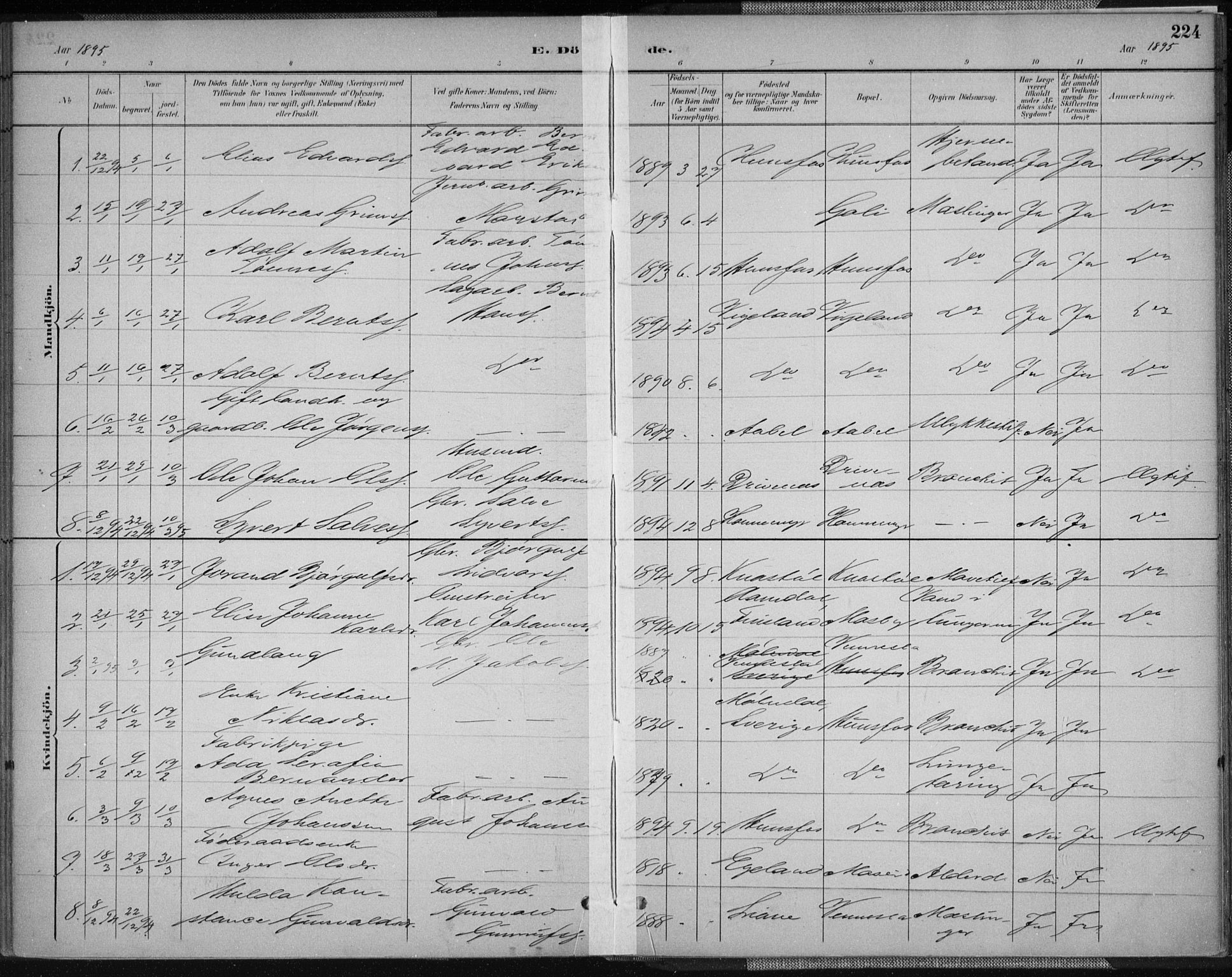 Vennesla sokneprestkontor, AV/SAK-1111-0045/Fa/Fab/L0004: Parish register (official) no. A 4, 1884-1896, p. 224