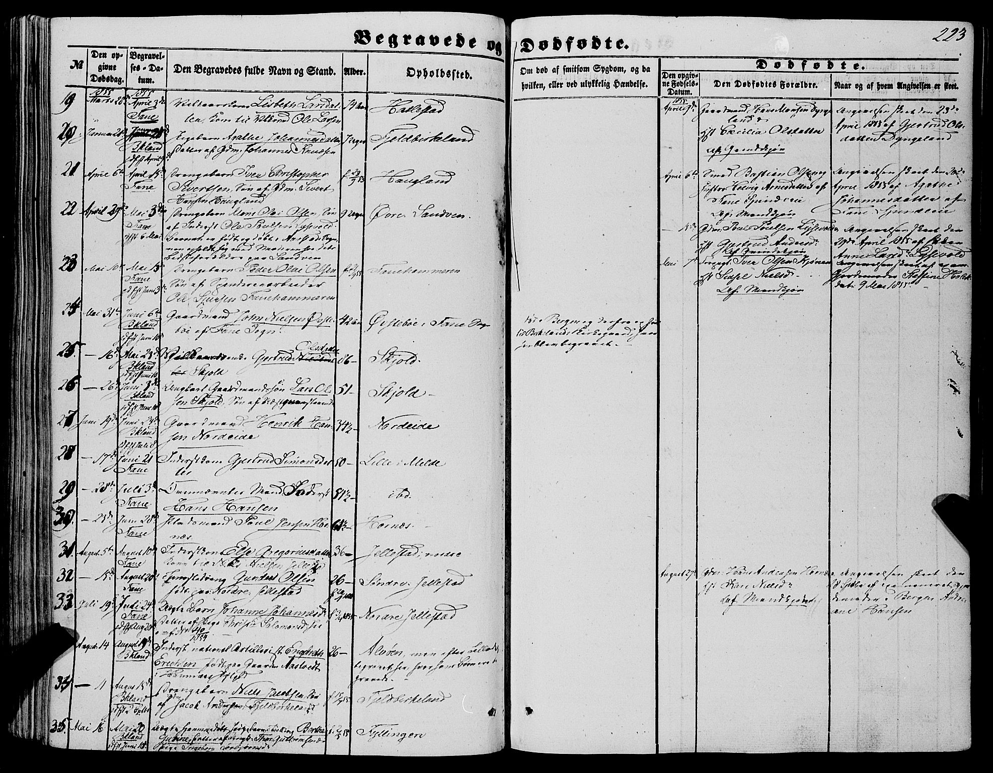 Fana Sokneprestembete, AV/SAB-A-75101/H/Haa/Haaa/L0011: Parish register (official) no. A 11, 1851-1862, p. 223