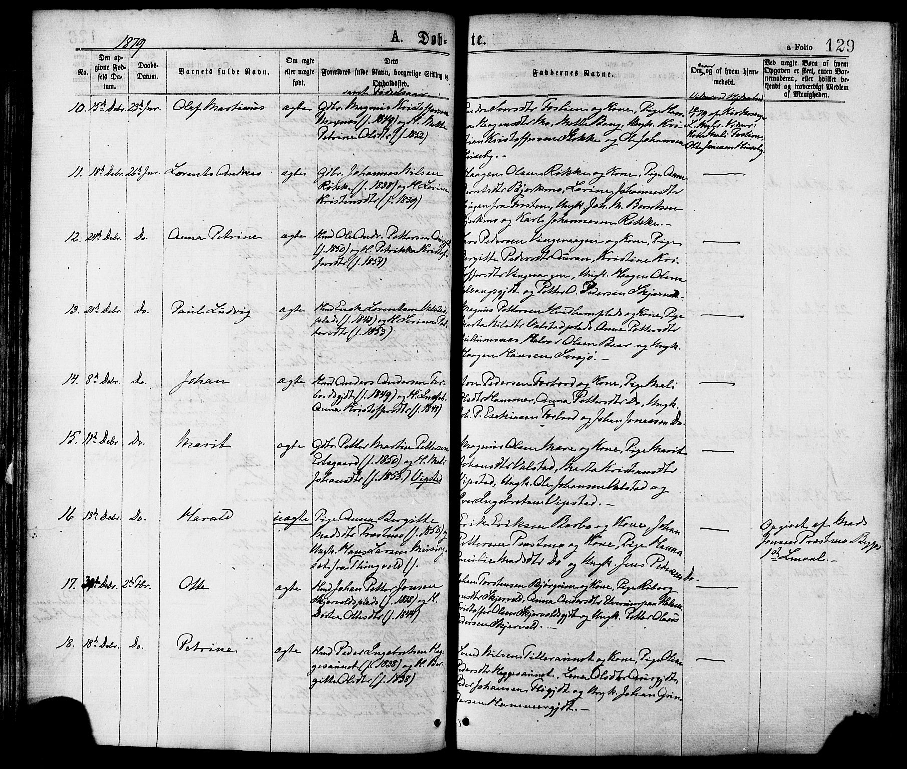 Ministerialprotokoller, klokkerbøker og fødselsregistre - Nord-Trøndelag, AV/SAT-A-1458/709/L0076: Parish register (official) no. 709A16, 1871-1879, p. 129