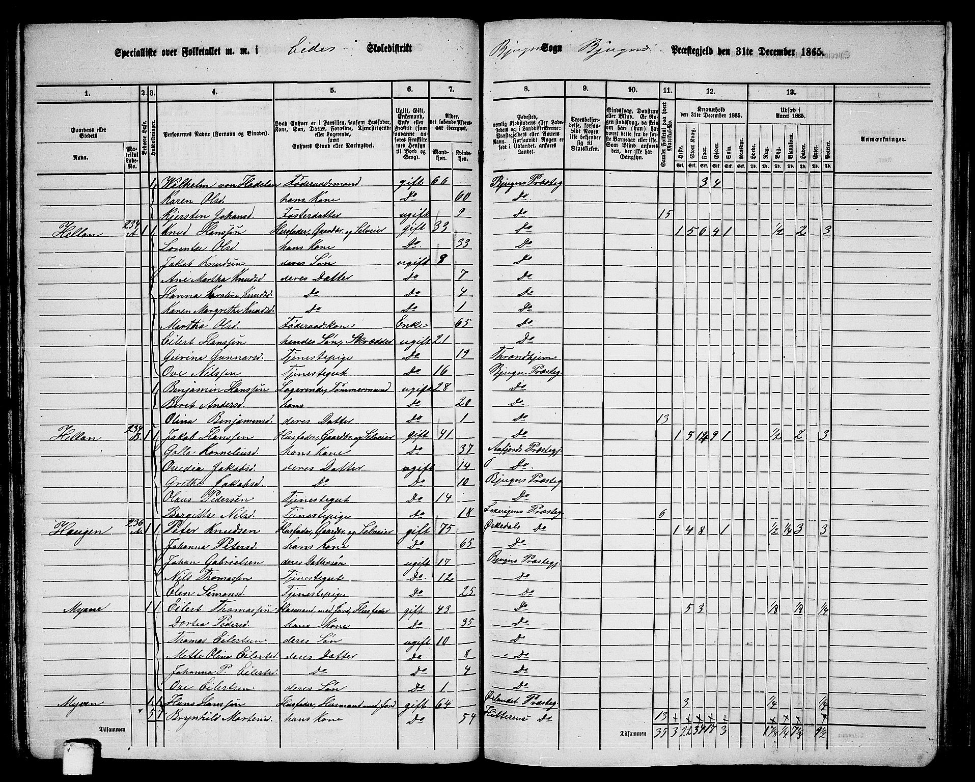 RA, 1865 census for Bjugn, 1865, p. 71