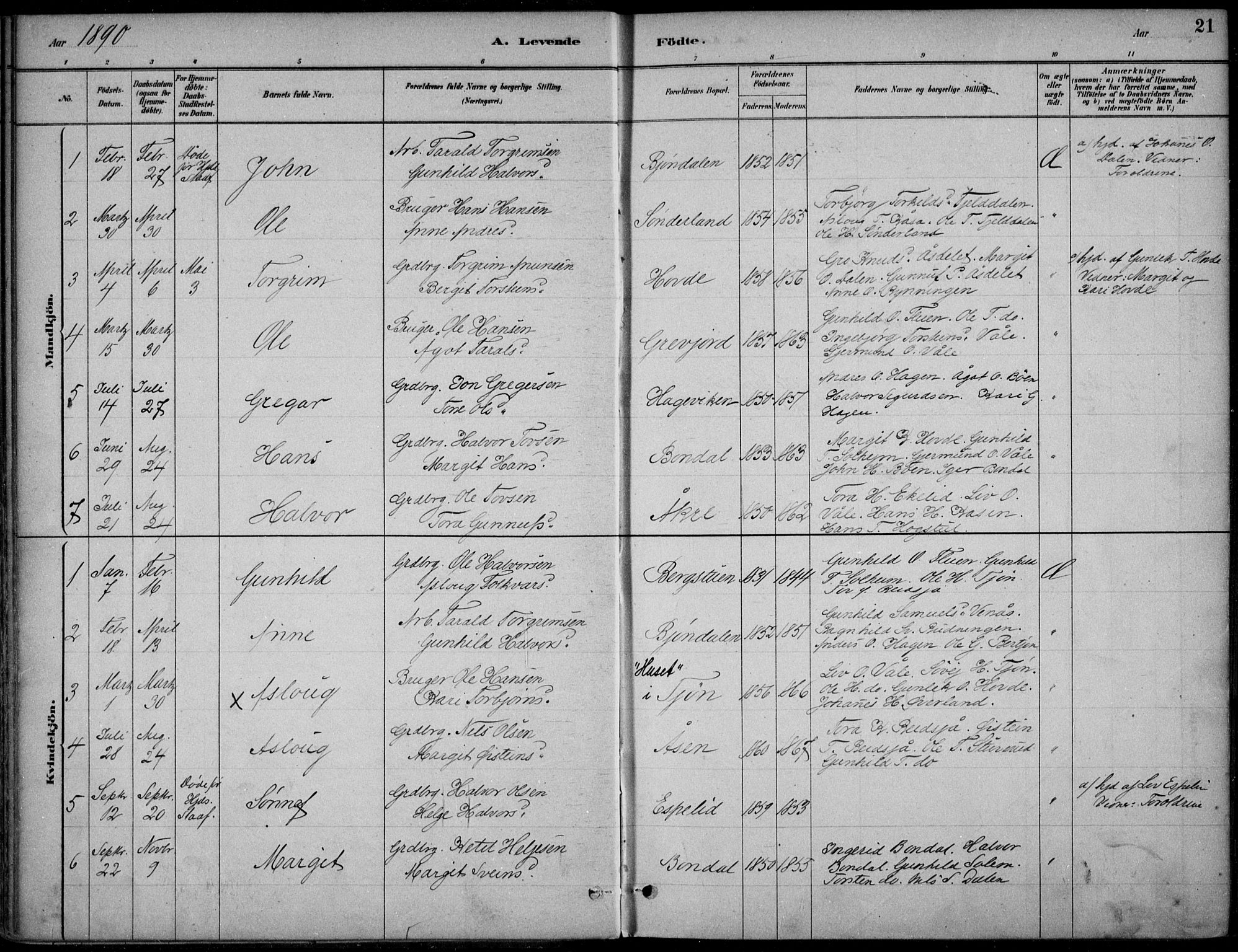 Hjartdal kirkebøker, SAKO/A-270/F/Fc/L0002: Parish register (official) no. III 2, 1880-1936, p. 21