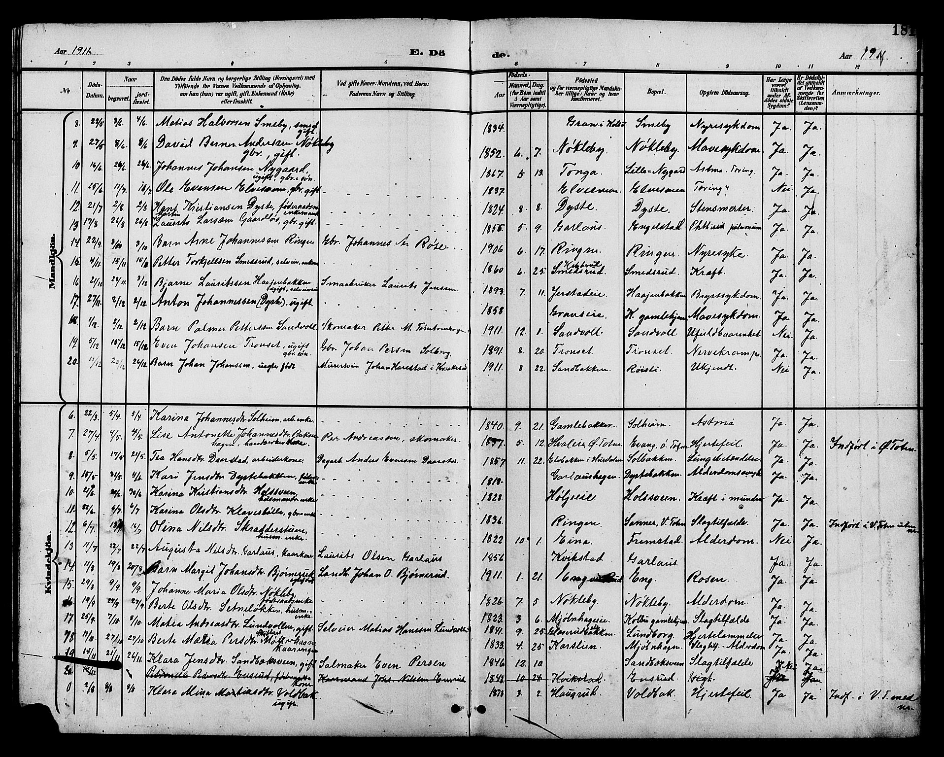 Vestre Toten prestekontor, AV/SAH-PREST-108/H/Ha/Hab/L0011: Parish register (copy) no. 11, 1901-1911, p. 181