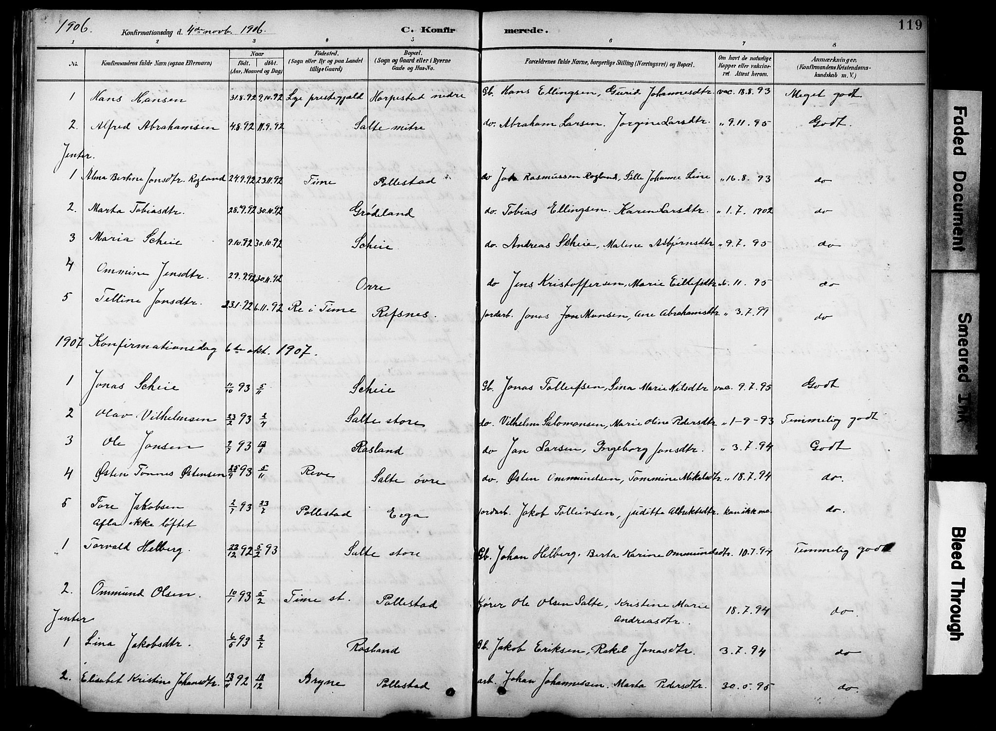 Klepp sokneprestkontor, SAST/A-101803/001/3/30BB/L0005: Parish register (copy) no. B 5, 1889-1918, p. 119